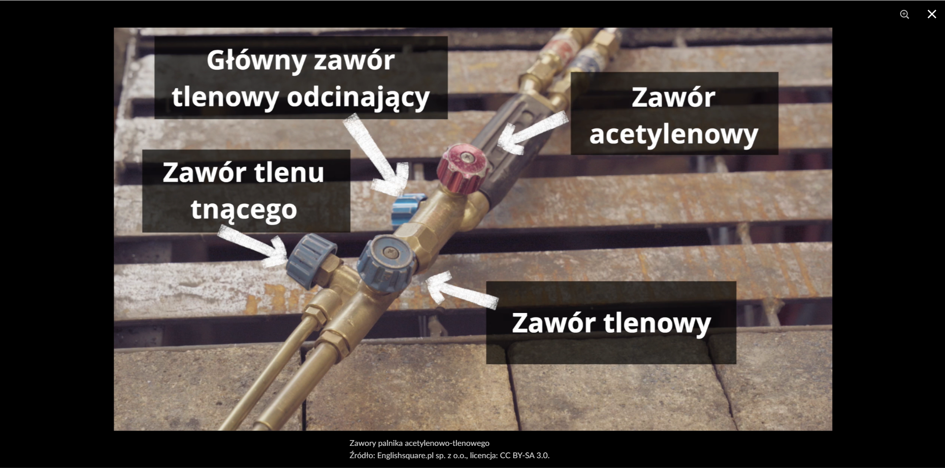 Grafika przedstawia widok na przykładowe zdjęcie wyświetlone w trybie pełnoekranowym. W górnym prawym rogu znajdują się dwie ikony. Ikona lupki pozwala przybliżyć i oddalić zdjęcie lub grafikę, a ikona krzyżyka zamyka widok pełnoekranowy. Pod zdjęciem widoczny jest jego tytuł, autor i licencja.