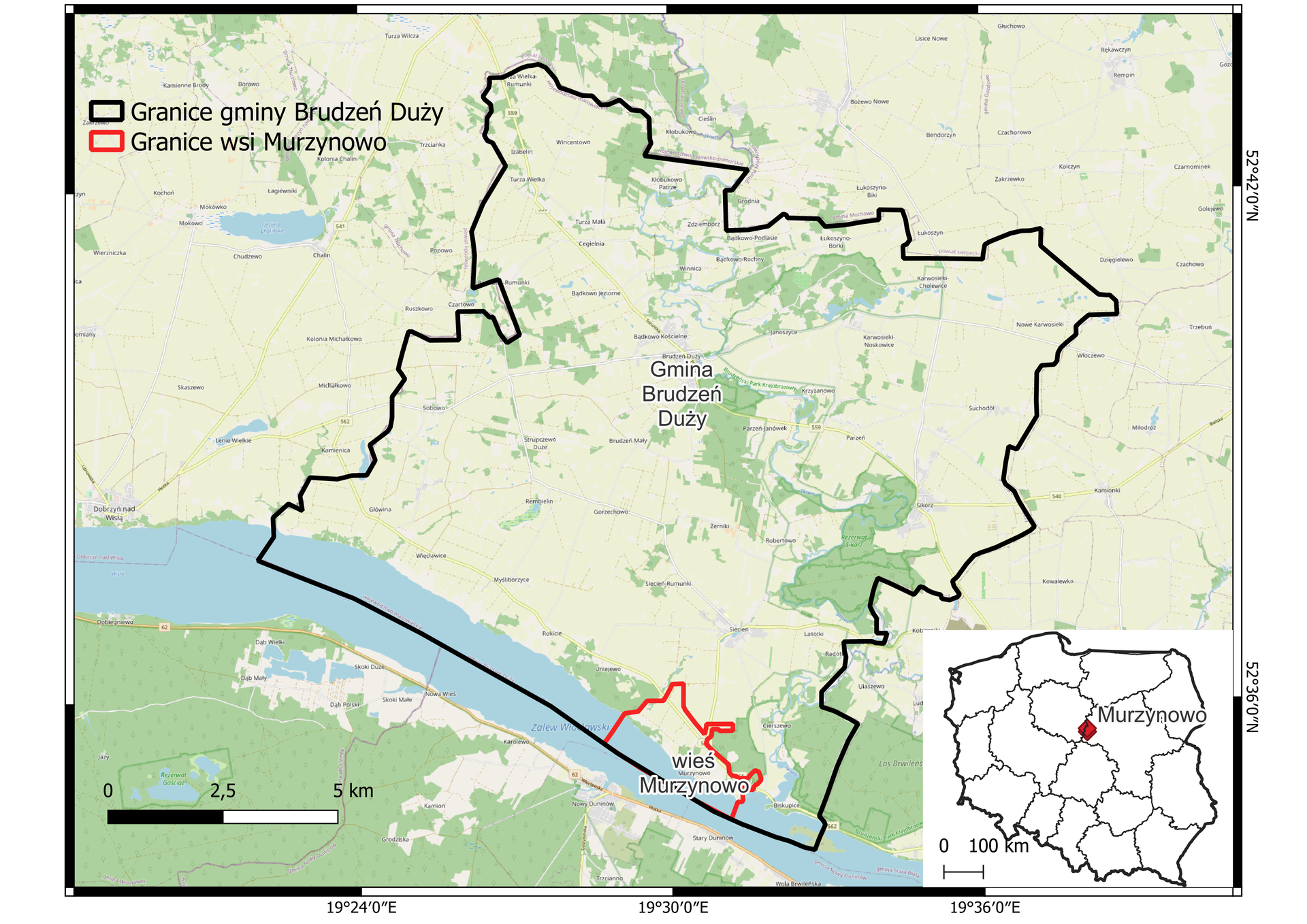 Ilustracja przedstawia mapę. Na niej granice gminy Brudzeń Duży, oznaczone czarnym konturem, w nim czerwonym konturem oznaczono granice wsi Murzynowo. Podkładowa mapa zawiera wody powierzchniowe - oznaczone na niebiesko na południowo‑wschodnim krańcu oraz lasy oznaczone na zielono - na południu oraz miejscowo w centralnej części.