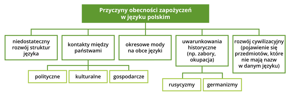 Schemat blokowy o tytule przyczyny obecności w języku polskim. Wskazanych zostało pięć następujących przyczyn: 1. Niedostateczny rozwój struktur języka; 2. Kontakty między państwami (polityczne, kulturalne, gospodarcze); 3. Okresowe mody na obce języki; 4. Uwarunkowania historyczne (np. zabory, okupacja, a w ich efekcie pojawienie się rusycyzmów czy germanizmów); 5. Rozwój cywilizacyjny (pojawienie się przedmiotów, które nie mają nazw w danym języku).
