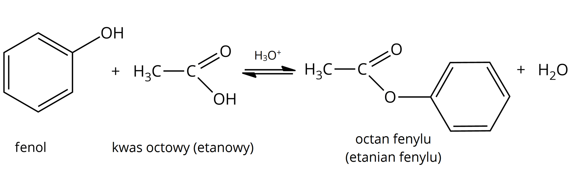 Ilustracja przedstawia reakcję estryfikację fenolu z kwasem octowym (etanowym), produktem jest octan fenylu (etanian fenylu). Równanie: Fenol: sześcioczłonowy pierścień aromatyczny z grupą OH przyłączoną do jednego z atomów węgla w pierścieniu, plus H3C—COOH dwie poziome strzałki jedna w prawo druga w lewo, nad nimi H3O+. Produkt:  H3C—COO atom tlenu połączony z sześcioczłonowym pierścieniem aromatycznym plus woda. W grupie COO jeden z atomów tlenu jest połączony z atomem węgla wiązaniem podwójnym, a drugi atom tlenu wiązaniem pojedynczym.