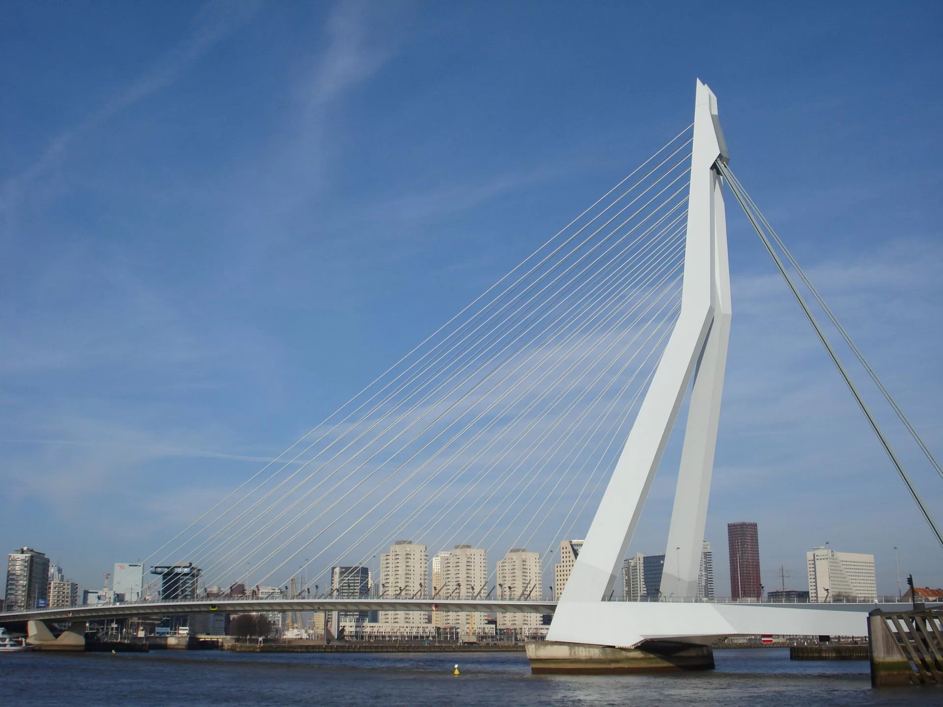 Wiszący most Erazma w Rotterdamie ma lekko wygięty do góry pomost w kolorze białym. W środkowej części pnie się w górę strzelista, biała konstrukcja w kształcie litery L - ramię mostu, od którego odchodzą po skosie białe liny, połączone z pomostem. Most ustawiono nad rzeką; z wody wystają betonowe, masywne konstrukcje, na których wzniesiono most. Za mostem stoją wysokie wieżowce w różnych kolorach. Tło stanowi jasne niebo.