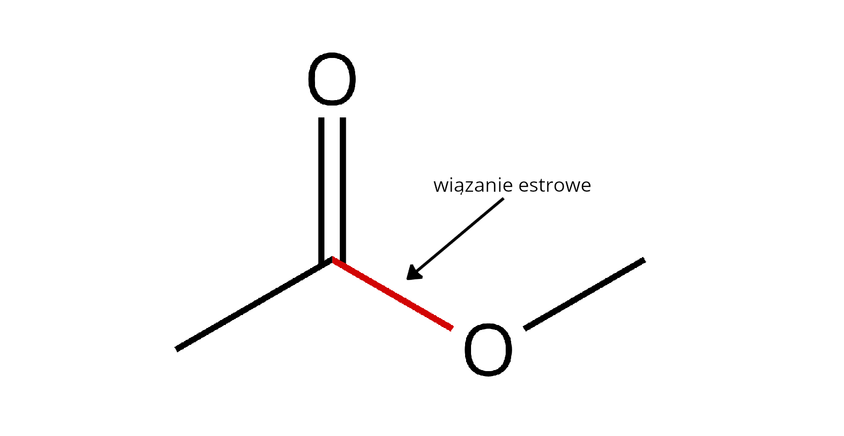 Ilustracja przedstawiająca grupę estrową. Wiązanie estrowe występuje pomiędzy atomem tlenu podstawnikiem łańcuchem węglowym oraz atomem węgla, który to związany jest za pomocą wiązania podwójnego z drugim atomem tlenu i również podstawiony łańcuchem węglowodorowym. Sumarycznie RCOOR.