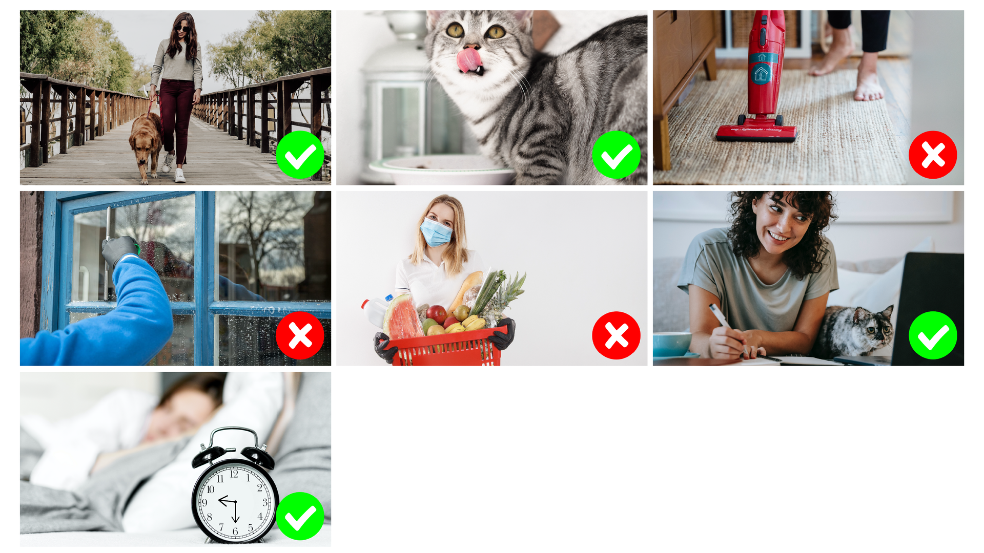 Ilustracja przedstawia kolaż siedmiu zdjęć. Zdjęcia przedstawiają codzienne czynności wykonywane przez Deborę. Cztery zdjęcia oznaczone są w prawym dolnym rogu tzw. "ptaszkiem" i oznaczają czynności, które Debora wykonała i przedstawiają: kobietę z psem na spacerze, karmienie kota, kobietę uczącą się oraz kobietę śpiącą w łóżku, a przed nią znajduje się zegar z godziną 21:30. Trzy zdjęcia oznaczone są iksem i oznaczają czynności, których Debora nie wykonała. Przedstawiają: osobę odkurzającą, osobę myjąca okna oraz kobietę niosącą duże zakupy.