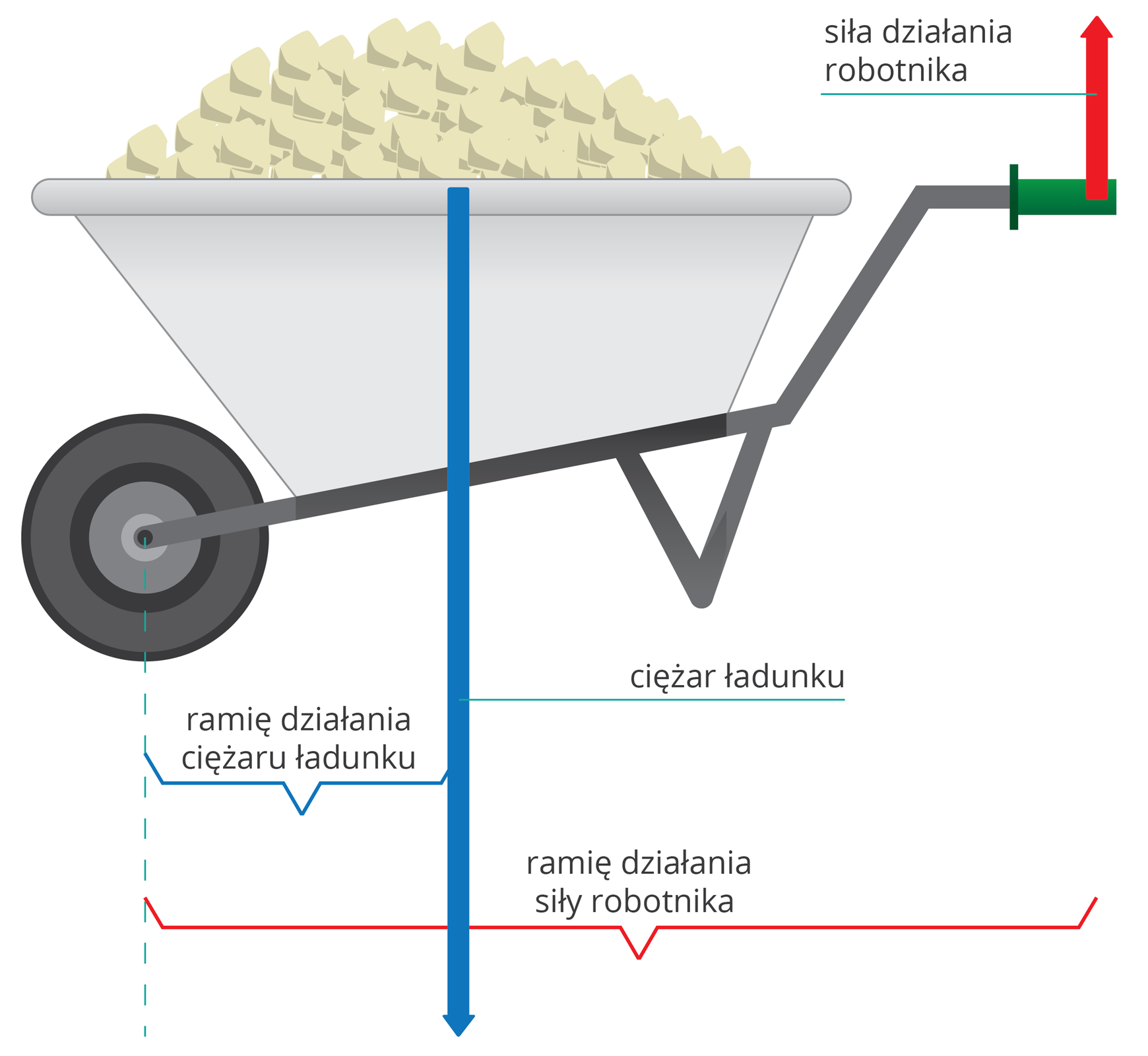 Ilustracja przedstawia taczkę. Na białym tle widać schemat taczki z jednym kołem i rączkami. W taczce znajduje się ładunek. Do rączek przyłożona jest siła skierowana pionowo do góry podpisana: siła działania robotnika, a do ładunku‑siła skierowana pionowo w dół, podpisana: ciężar ładunku. Zaznaczono ramiona działania sił.