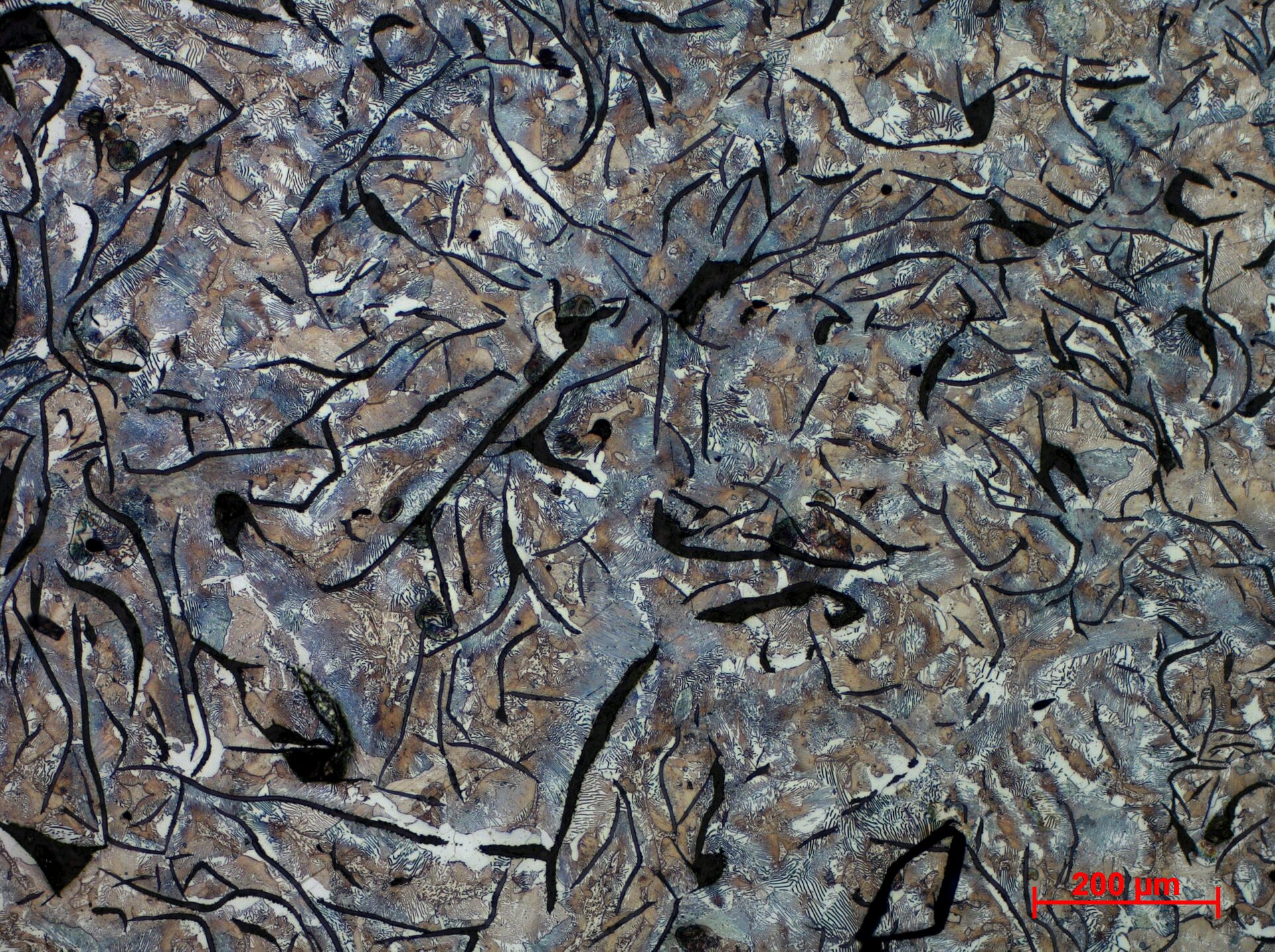 Żeliwo szare zwykłe
Osnowa perlityczna z grafitem płatkowym - powiększenie 10x