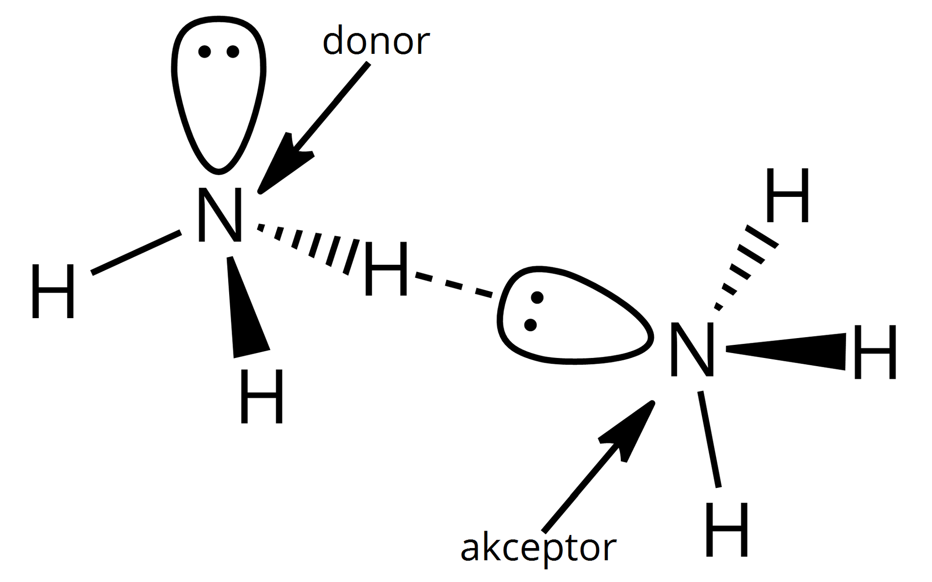 Na ilustracji są dwa wzory amoniaku. Wzory są przestrzenne: atom azotu łączy się z trzema atomami wodoru. Nad atomem azotu jest element w kształcie łzy, są w nim dwie kropki. Dwie cząsteczki azanu są połączone linią przerywaną - linia prowadzi od atomu wodoru w pierwszej cząsteczce do dwóch kropek nad atomem azotu w drugiej cząsteczce. Atom azotu w pierwszej cząsteczce to donor, a w drugiej akceptor.  