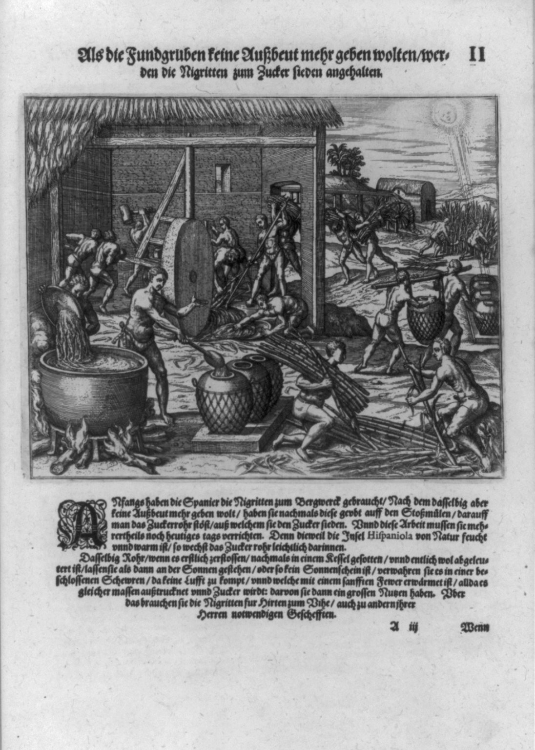 Ilustracja przedstawia półnagich mężczyzn pracujących obok jednego z budynków. Jedni przynoszą gałęzie z pola, inni ścinają je na mniejsze kawałki i obierają. Na pierwszym planie mężczyzna wlewa zmielone gałęzie do wielkiego kotła, który stoi na ogniu, obok drugi mężczyzna przelewa napar chochlą do mniejszych naczyń. Następnie te naczynia szykowane są do transportu.