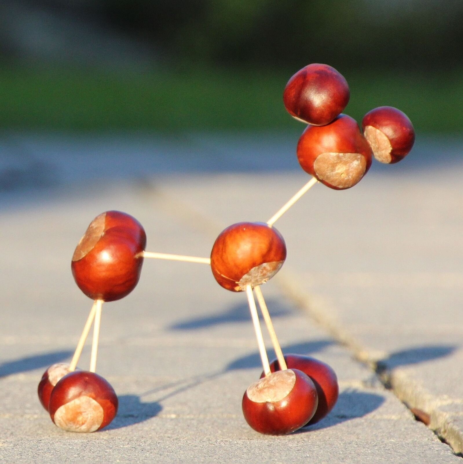 Na zdjęciu jest zwierzątko zbudowane z kasztanów i patyczków.