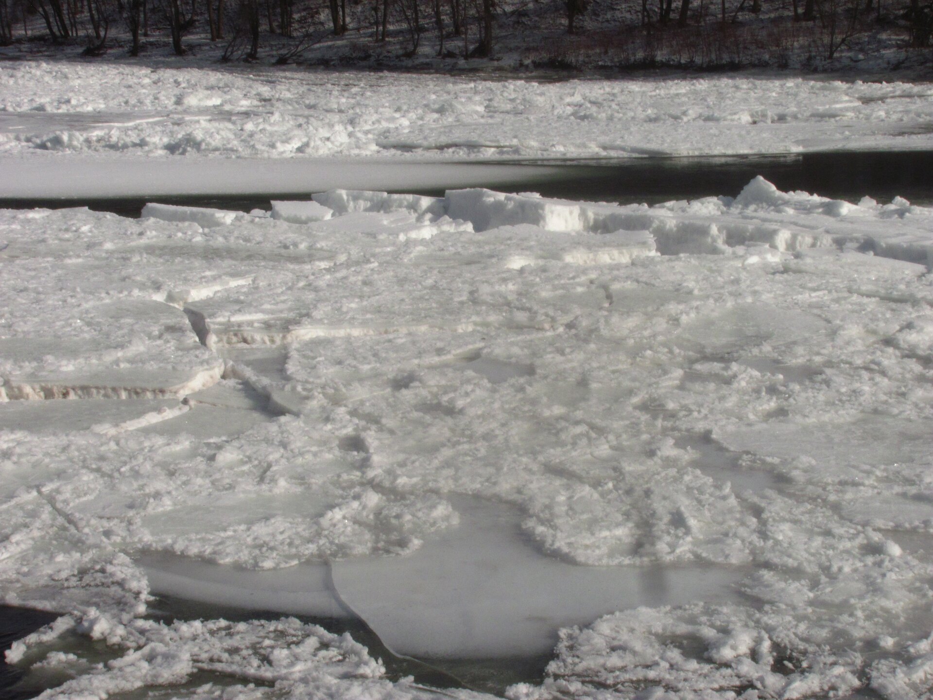 Zdjęcie przedstawia fragment rzeki. Zima. Dzień. Powierzchnia wody niewidoczna. Powierzchnia wody pokryta jest białym spękanym lodem. Duże płyty lodu mają kształt płaskich wielokątów. Krawędzie ostre, przeźroczyste. Niektóre kawałki lodu zachodzą na siebie. Grubość lodu wynosi nawet kilkadziesiąt centymetrów. Powierzchnia lodu pokryta warstwą śniegu. W tle widoczny fragment rzeki bez unoszącej się kry na powierzchni. Woda w kolorze czarnym. Na drugim planie dalsza część rzeki i brzeg. Cała powierzchnia rzeki aż po brzeg pokryta lodem i śniegiem. Brzeg rzeki w tle porośnięty gęsto drzewami.