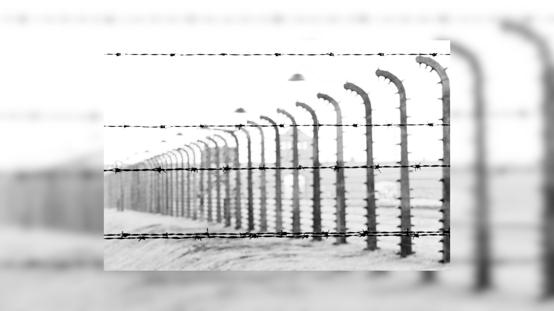 Zdjęcie przedstawia ciąg słupów z zawieszonym drutem kolczastym.