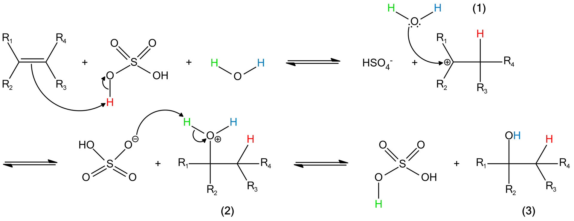 Rysunek przedstawia cztery etapy mechanizmu addycji wody do alkenu w obecności kwasu siarkowego (VI). Każdy etap oddzielony jest od kolejnego za pomocą dwóch strzałek, jednej w lewo, drugiej w prawo. Etap 1 – alken z czterema podstawnikami R indeks dolny 1, R  indeks dolny 2, R  indeks dolny 3 i R indeks dolny 4 dodać kwas siarkowy (VI) dodać woda. W cząsteczce kwasu siarkowego (VI) jeden z atomów wodoru zaznaczony jest na czerwono, w cząsteczce wody jeden atom wodoru zaznaczony jest na zielono, a drugi na niebiesko. Od wiązania podwójnego w alkenie biegnie strzałka do czerwonego wodoru w kwasie siarkowym. Od wiązania między czerwonym atomem wodoru a atomem tlenu prowadzi krótka strzałka do atomu tlenu. Etap 2 – anion kwasu siarkowego (VI) dodać karbokation powstały z alkenu jon oksoniowy. Od jonu oksoniowego prowadzi strzałka do atomu węgla w karbokationie alkenu. Czerwony atom wodoru z poprzedniego etapu znajduje się w karbokationie. Alken wiąże proton pochodzący z dysocjacji cząsteczki katalizatora - kwas siarkowy (VI). Proton ten przyłącza się zgodnie z regułą Markownikowa. Tworzy się karbokation, który wchodzi w reakcję z najłatwiej dostępnym nukleofilem. W tym przypadku nukleofilem jest cząsteczka wody. Etap 3 – anion kwasu siarkowego (VI) dodać kation alkanu. Kation alkanu utworzony został z karbokationu oraz jonu oksoniowego z poprzedniego etapu. Od jednego z atomów tlenu w anionie powstałym z kwasu siarkowego (VI) prowadzi strzałka do zielonego atomu wodoru, który jest częścią kationu powstałego z alkenu i cząsteczki wody. Od wiązania między zielonym atomem wodoru a atomem tlenu idzie strzałka do tego atomu tlenu. Etap 4 – kwas siarkowy (VI) dodać alkohol z czterema podstawnikami R indeks dolny 1, R indeks dolny 2, R indeks dolny 3 i R indeks dolny 4. Powstaje elektroobojętny produkt, którym jest alkohol. Zostaje odtworzona cząsteczka katalizatora, jakim jest kwas siarkowy (VI).