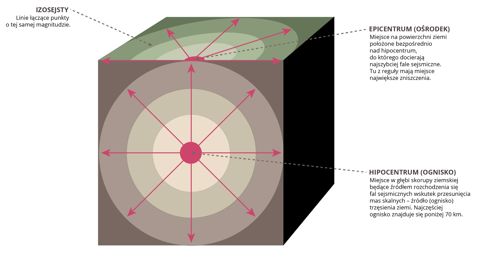 Grafika przedstawia przekrój ziemi w kształcie sześcianu. W środku znajduje się hipocentrum czyli ognisko. Miejsce w głębi skorupy ziemskiej będące źródłem rozchodzenia się fal sejsmicznych wskutek przesunięcia mas skalnych. Źródło, ognisko trzęsienia ziemi. Najczęściej ognisko znajduje się poniżej 70 kilometrów. Na powierzchni znajduje się epicentrum czyli ośrodek. Miejsce na powierzchni ziemi położone bezpośrednio nad hipocentrum, do którego docierają najszybciej fale sejsmiczne. Tu z reguły mają miejsce największe zniszczenia. Od hipocentrum i epicentrum odchodzą strzałki. Są to izosejsty czyli linie łączące punkty o tej samej magnitudzie.