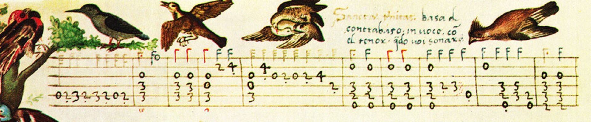 Ilustracja przedstawia tabulaturę lutniową włoską, fragment involatury „Sancta Trinitas” Vincenzo Capiroli. Na pożółkłym papierze widnieją narysowane linie ze znacznikami oraz odręczny tekst u góry. Nad tabulaturą namalowane zostały ptaki, natomiast po lewej stronie drzewo.