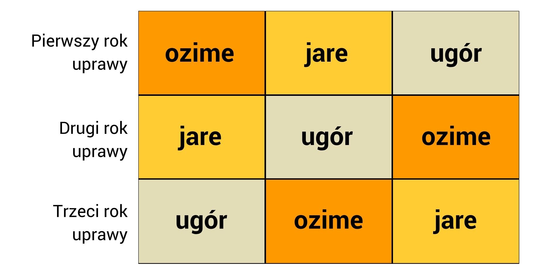 Kliknij, aby powiększyć Trzywersowa i trzykolumnowa tabela. Poza tabelą ułożone wedle wersów od góry hasła: Pierwszy rok upraw, drugi rok upraw, trzeci rok upraw. Pierwszy wers od lewej: ozime, jare, ugór. Drugi wers od lewej: ugór, ozime, jare. Trzeci wers od lewej: jare, ugór, ozime.