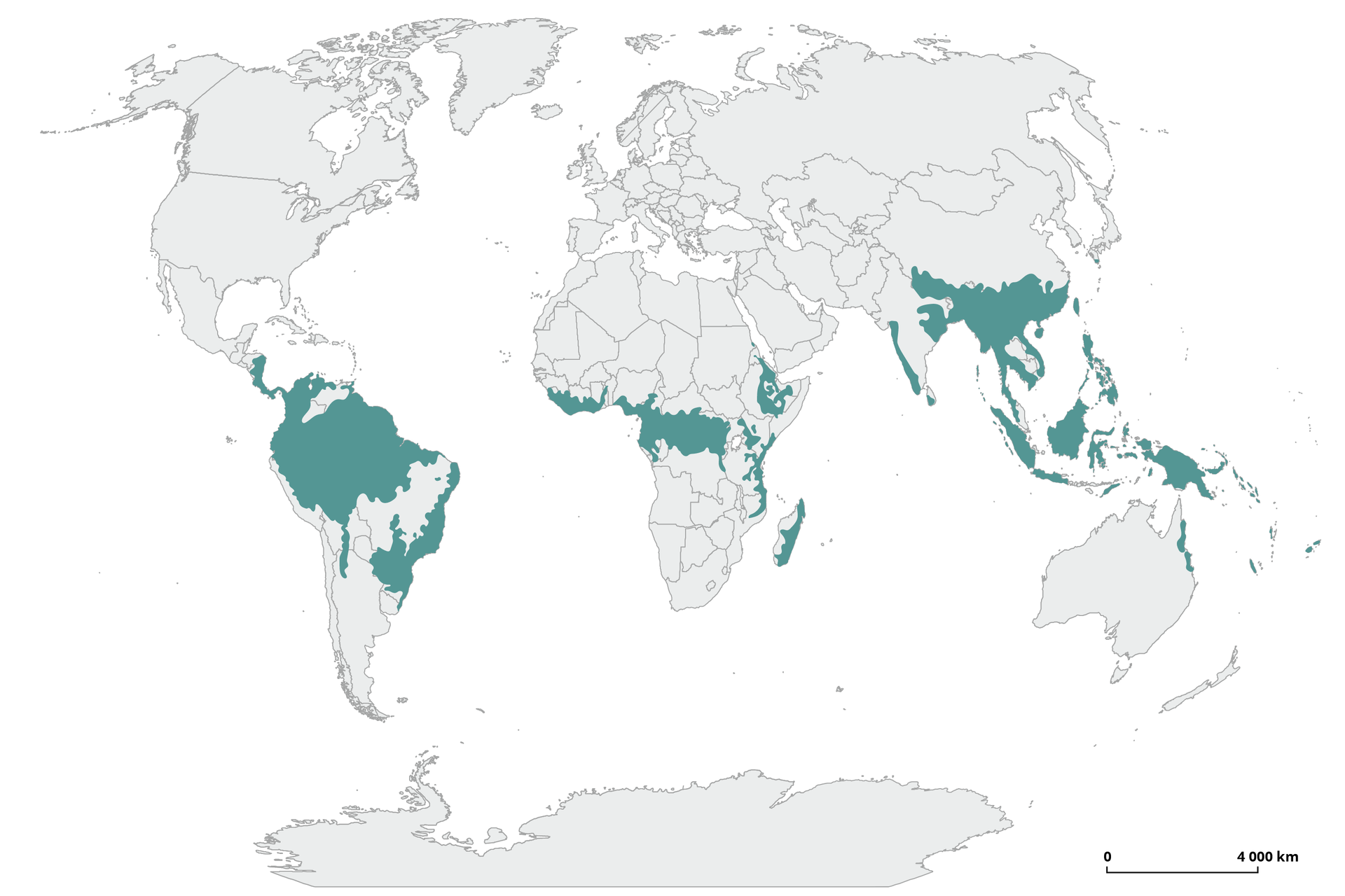 Mapka świata z zaznaczonymi obszarami występowania wilgotnych lasów równikowych. Zakreślono tereny północy Ameryki Południowej i większości Brazylii, pas Afryki wzdłuż równika, tereny Azji Południowo‑Wschodniej i Oceanii.