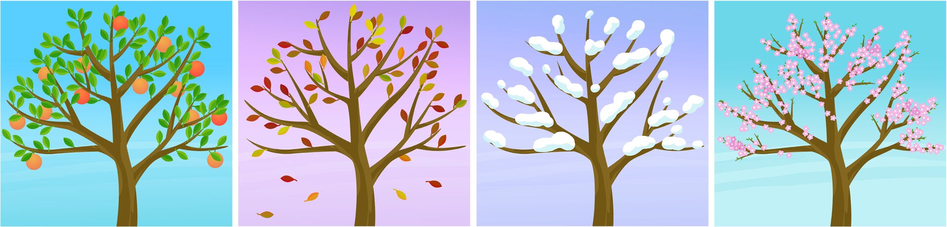 Ilustracja przedstawia drzewko owocowe w różnych porach roku. Latem jest pokryte zielonymi liśćmi i ma owoce, jesienią opadają z niego liście, zimą pokryte jest śniegiem, a wiosną kwitną na nim kwiaty.