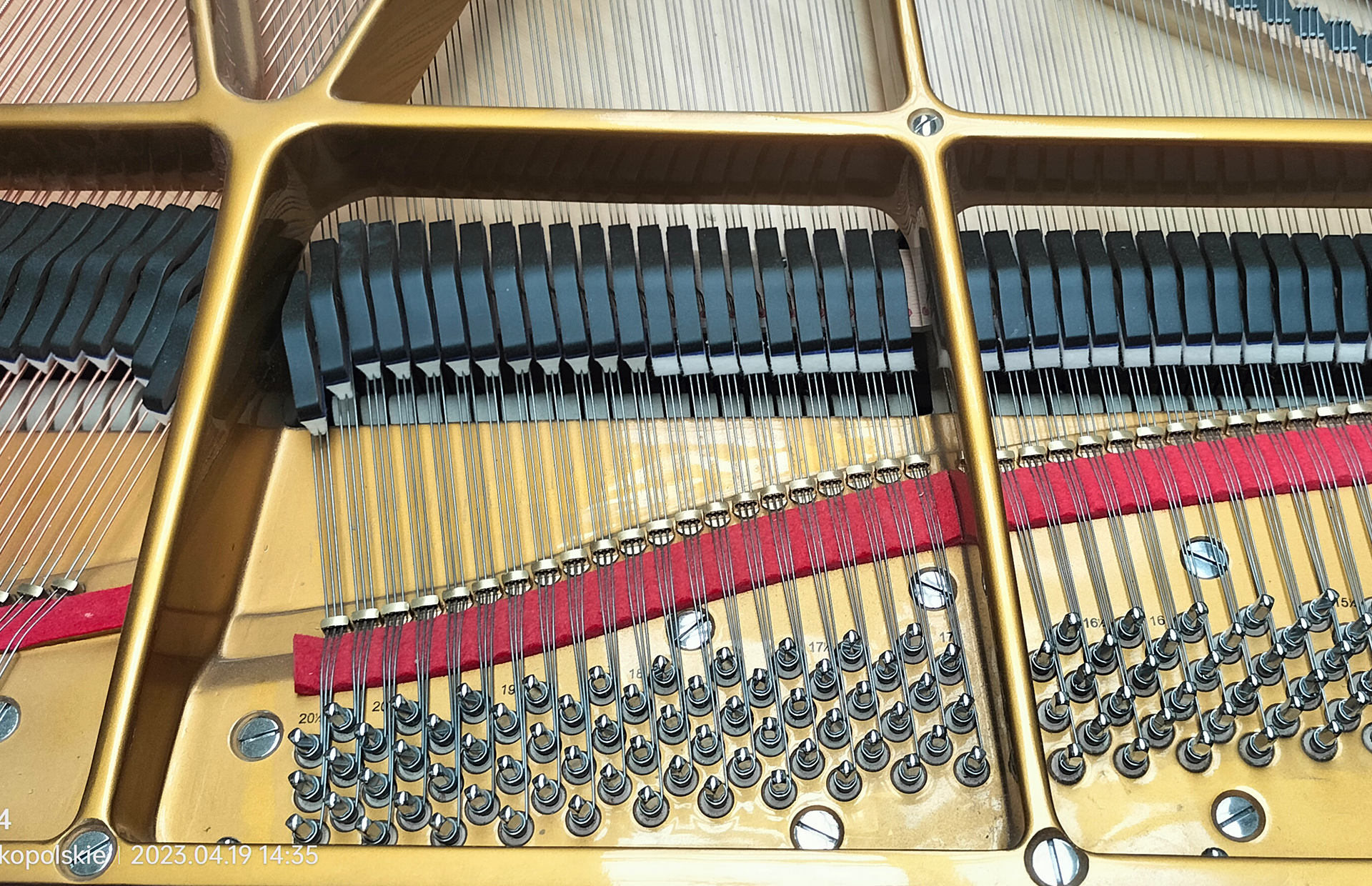 Zdjęcie przedstawia kołki stroikowe ze stali niklowanej, zamontowane w fortepianie. Widoczne są fragment strojnicy, szkieletu i ramy żeliwnej oraz wiązek strun odchodzących od kołków do zaczepów.