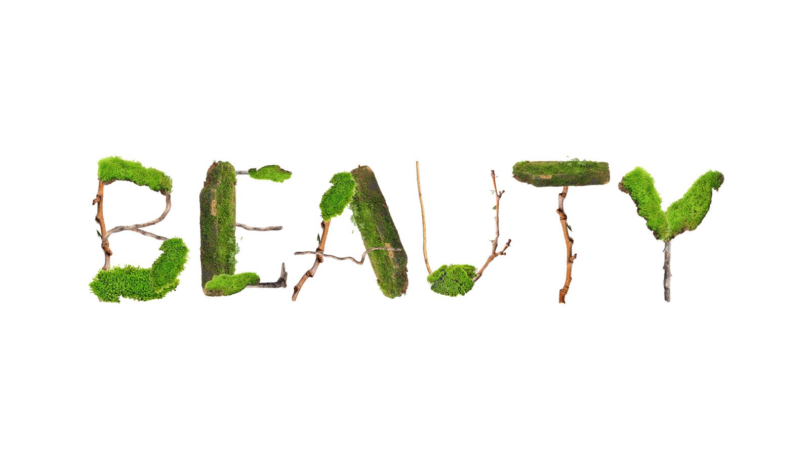 Grafika przedstawia napis w języku angielskim: BEAUTY. Napis jest wykonany z gałązek i mchu.