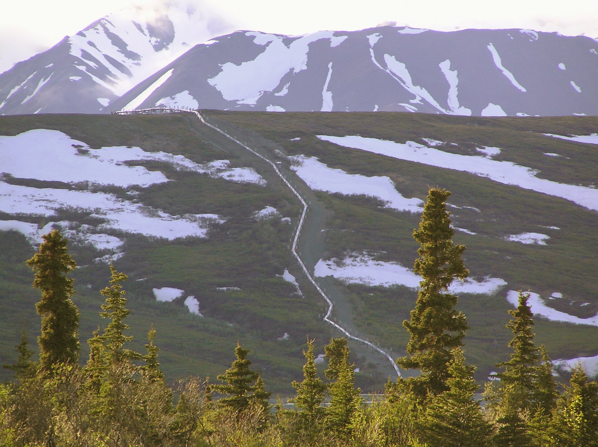 Zdjęcie przedstawia widok na rurociąg naziemny. Na pierwszym planie rosną drzewa iglaste. W tle na płaskim wzniesieniu znajduje się rurociąg wokół którego jest las i teren pokryty śniegiem. Za szczytem wzniesienia znajdują się góry.