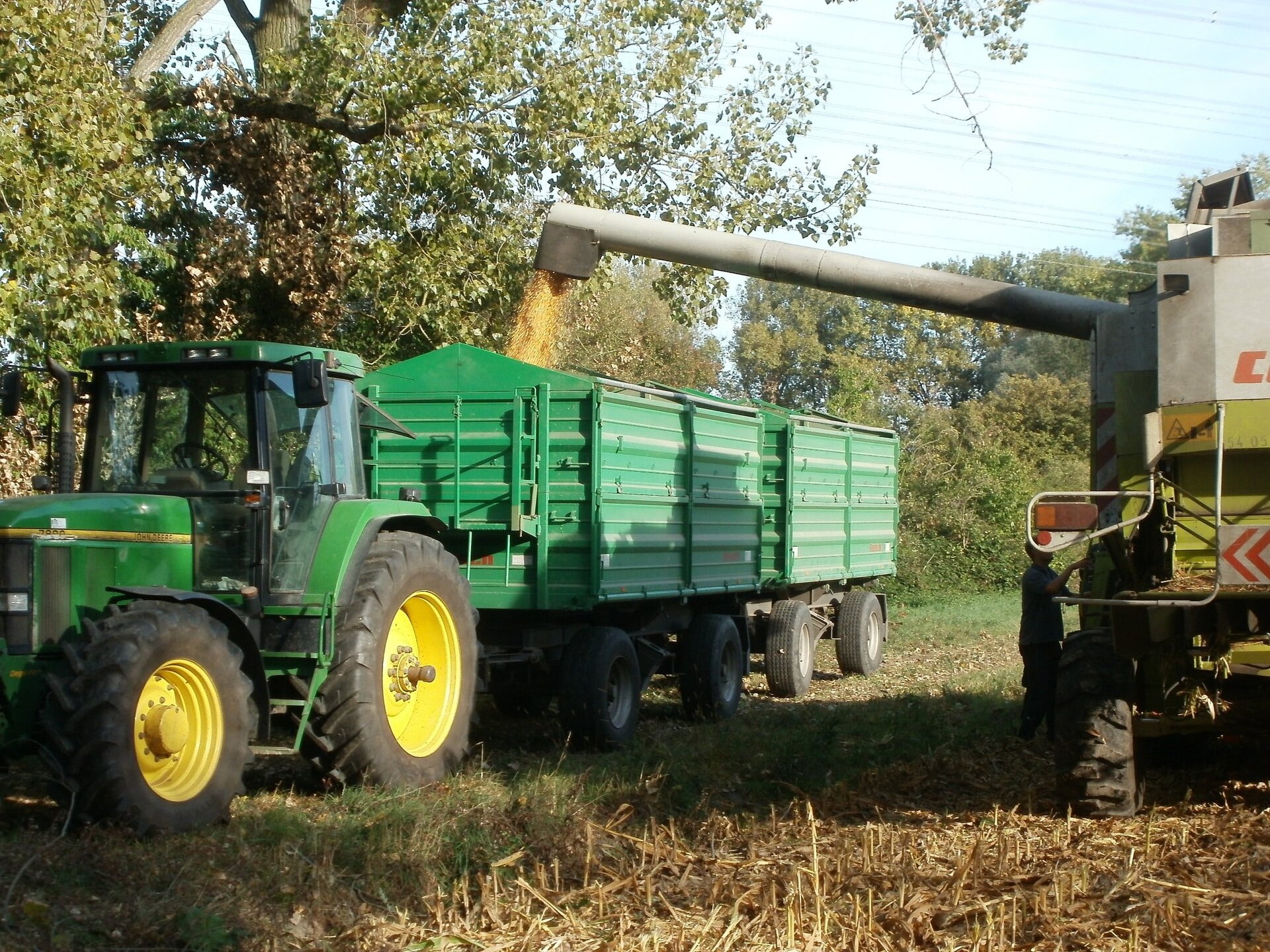 Grafika przedstawia traktor z naczepą, do której wsypywane jest zboże z kombajnu rolniczego.