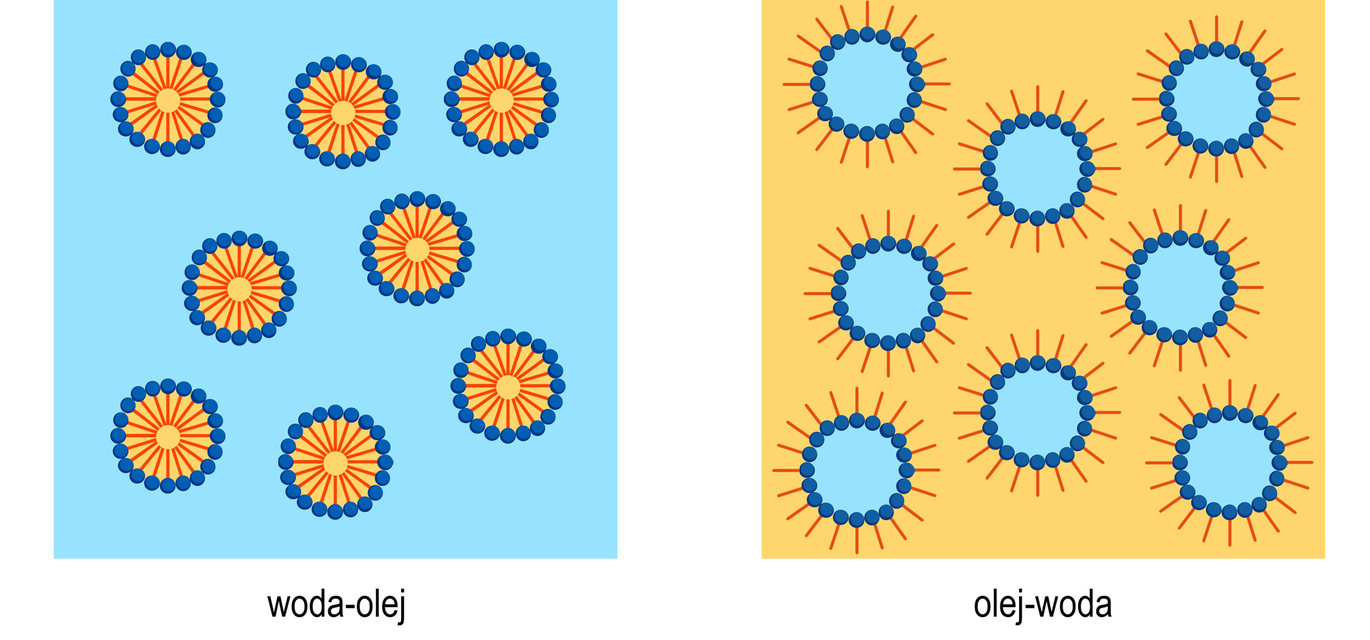 Ilustracja przedstawia cząsteczki emulgatora rozmieszczone w emulsji typu woda–olej i olej–woda. W typie emulsji woda–olej  cząsteczki układają się w koła wokół kropli oleju częścią hydrofobową do środka. W typie emulsji olej‑woda cząsteczki otaczają emulsję i układają się częścią hydrofobową – ogonkami na zewnątrz. 