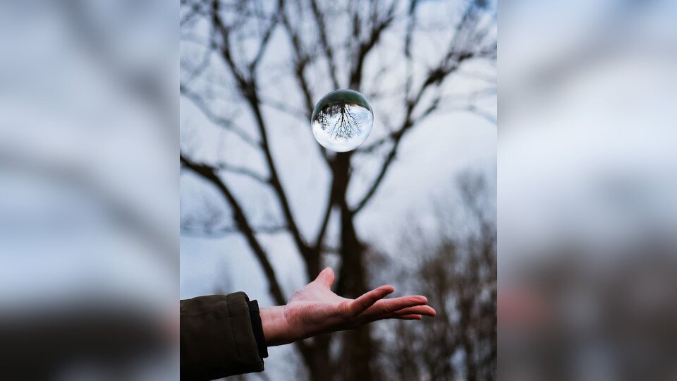Zdjęcie przedstawia ludzką dłoń. Jest ona odwrócona grzbietem do dołu. W kierunku dłoni zbliża się lecąca z góry ogromna kropla. Odbija się w niej kształt drzewa, które widoczne jest na drugim planie.