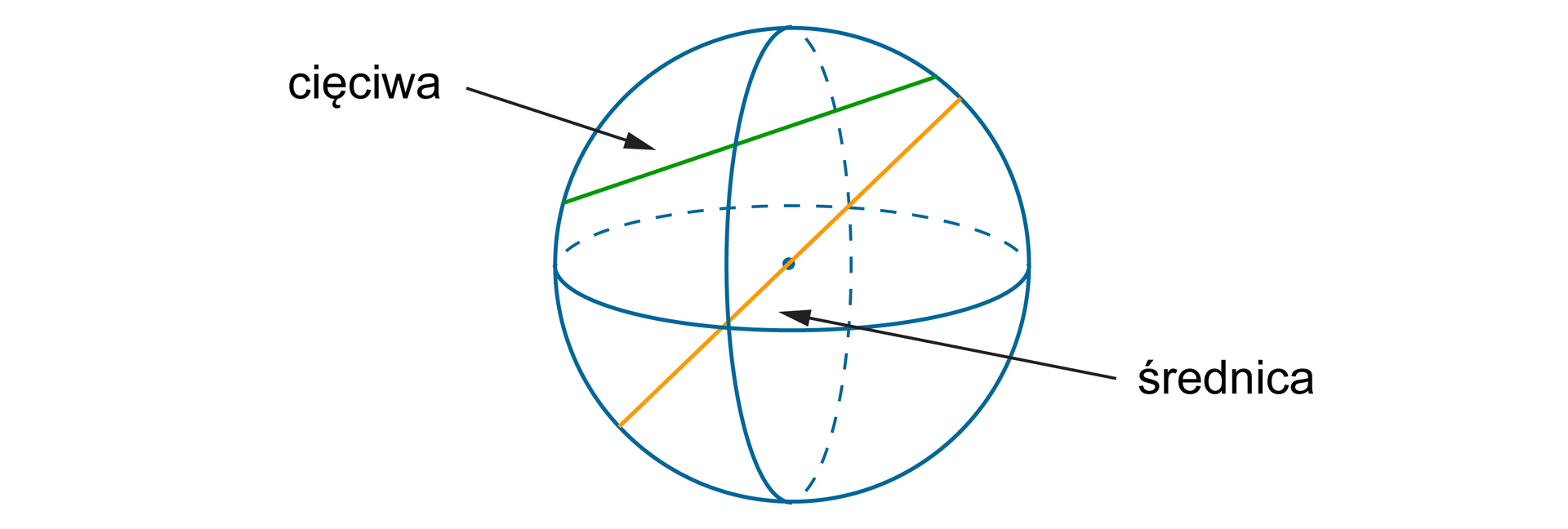 Rysunek sfery, czyli powierzchni kuli z zaznaczonymi średnicą i cięciwą. Cięciwa sfery jest odcinkiem o końcach na sferze. Średnica sfery przechodzi przez środek sfery, a jej końce znajdują się na sferze.