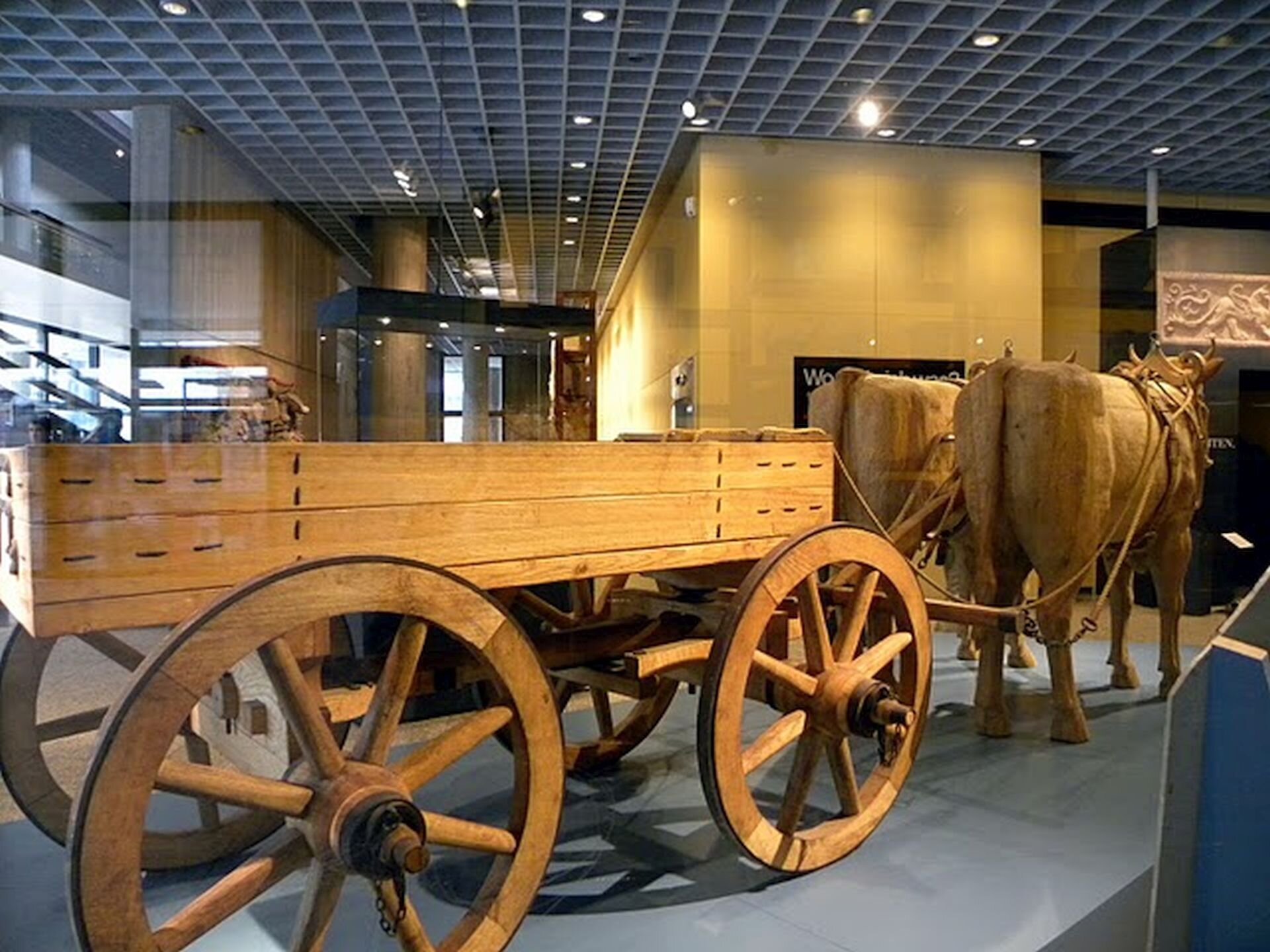Fotografia nieznanego autora przedstawia rekonstrukcję rzymskiego powozu ciągniętego przez dwa konie. Sam wóz ma cztery koła oraz drewniane i niskie burty. Rekonstrukcja powozu znajduje się w Rzymsko-Germańskim Muzeum w Kolonii. 