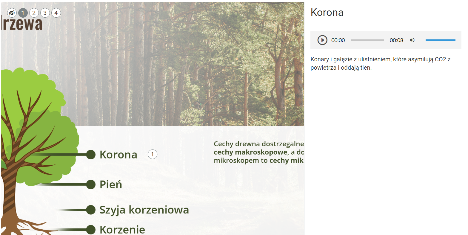 Grafika ukazuje przykładowy opis wyświetlany po kliknięciu cyfrowego znacznika. Opis składa się z nagłówka, paska odtwarzania i tekstu.