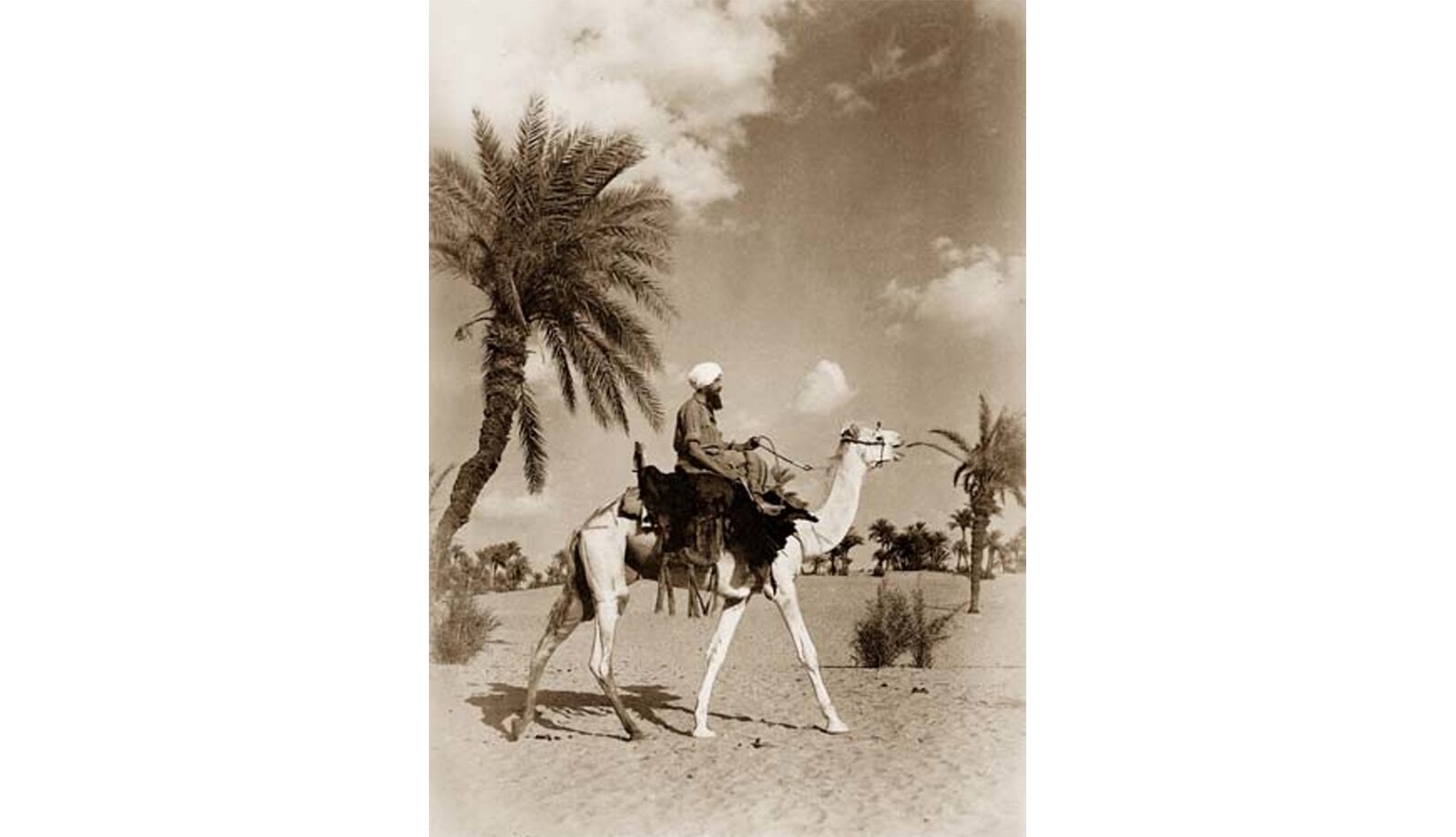 Zdjęcie przedstawia mężczyznę, który siedzi na wielbłądzie. Na głowie ma turban. W tle widać palmy i pustynię.