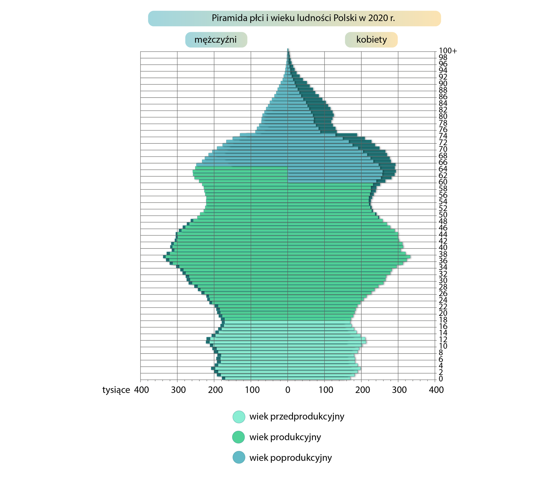 Piramida płci i wieku jest rozrysowana na siatce. Dolna pozioma oś oznacza liczbę ludności w tysiącach, od 0 w centralnym punkcie rośnie co 200 tysięcy w lewą i prawą stronę do 400 tysięcy. Oś pionowa oznaczona po prawej stronie określa grupy wiekowe oznaczane co 2 lata od 0 do 100 lat plus. Piramida ma dwa kolory. Kolorem niebieskim oznaczono wierzchołek i podstawę piramidy wraz z wartościami poniżej 250 tysięcy osób (osoby w wieku przed- i poprodukcyjnym), a kolorem zielonym środek piramidy z wartościami powyżej 250 tysięcy osób będących w wieku produkcyjnym. W Polsce w 2020 roku najwięcej było osób w wieku produkcyjnym od 20 do 64 roku życia z niewielką przewagą mężczyzn. W wieku poprodukcyjnym widoczna jest znacząca przewaga kobiet (różnica nawet 50 tysięcy osób). Na piramidzie umieszczono siedem przycisków, po kliknięciu wyświetla się ramka z opisem. Numer jeden: Osoby w wieku 82 lata i starsze. Zmniejszająca się liczba najstarszych roczników wynika z przyczyn naturalnych (zgony). Numer dwa: Osoby w wieku 75‑81 lat. Niewielka liczebność tych roczników wynika z dużej liczby zgonów i niewielkiej liczby urodzeń w okresie okupacji (niż wojenny). Numer trzy: Osoby w wieku 61‑74 lata. Duża liczebność tych roczników jest wynikiem wyżu kompensacyjnego w latach 1946‑1959. Był on spowodowany wzrostem liczby urodzeń spowodowanym dążeniem do zmniejszenia ubytku ludności podczas wojny – rekompensował straty wojenne. Numer cztery: Osoby w wieku 51‑60 lat. Mała liczebność tych roczników oznacza niż demograficzny w latach 1960‑1969 – echo niżu wojennego. Był on spowodowany wejściem w wiek rozrodczy mało licznego pokolenia ludności urodzonego podczas wojny. Numer pięć: Osoby w wieku 36‑50 lat. Duża liczebność tych roczników związana jest z echem wyżu kompensacyjnego w latach 1970‑1984. Był on spowodowany wejściem w wiek rozrodczy licznego pokolenia osób urodzonych podczas wyżu kompensacyjnego; jednakże przyrost ludności był już znacznie mniejszy, na co wpływała zmiana stylu życia na bardziej konsumpcyjny oraz kryzys gospodarczy. Numer sześć: Osoby w wieku 15‑35 lat. Niewielka liczebność tych roczników związana jest z niżem demograficznym w latach 1985‑2005. Był on spowodowany wejściem w wiek rozrodczy osób urodzonych w latach 60. XX wieku; ponadto zmiany społeczno‑gospodarcze wynikające z procesu transformacji ustrojowej (duże bezrobocie, niepewny los) nakładające się na mało liczne pokolenie będące w wieku rozrodczym doprowadziły do ubytku naturalnego – po raz pierwszy miał on miejsce w 2002 roku. Numer siedem: Osoby w wieku 14 lat i młodsze. Od 2006 do 2011 roku miał miejsce opóźniony, bardzo niewielki przyrost liczby ludności, lecz trudno mówić w tej sytuacji o kolejnym wyżu demograficznym; wzrost ten był wynikiem wejścia w wiek rozrodczy osób urodzonych w latach 70. i w pierwszej połowie lat 80. XX w.; zarówno jego późne nadejście, jak i wartości przyrostu naturalnego w ostatnich latach oscylujące wokół zera są następstwem wymagającego rynku pracy – ciągła konieczność podnoszenia kwalifikacji, duża mobilność zawodowa i dyspozycyjność pracowników, zwiększenie znaczenia pracy kosztem wartości rodzinnych, chęć realizacji własnych planów, podróże oraz kariera naukowa i zawodowa powodują zwiększanie się średniego wieku zawierania małżeństw, upowszechnianie się modelu rodziny z jednym dzieckiem lub bez dziecka (w zamian za to – z psem lub kotem) oraz zwiększenie się liczby związków nieformalnych.