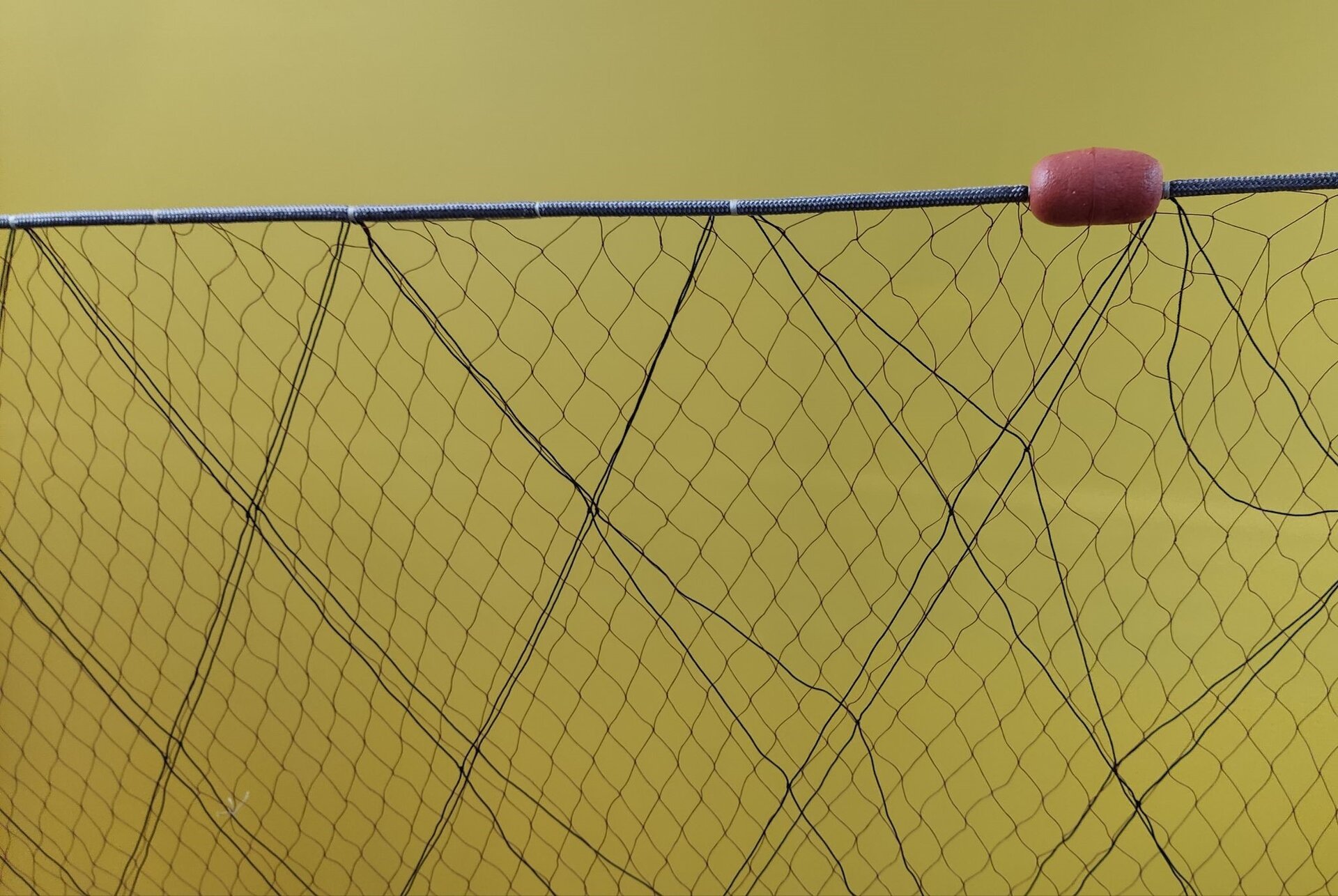 Zdjęcie przedstawia kratę w sieci słęp. Słęp składa się z trzech warstw - krata stanowi warstwę zewnętrzną. Ma ona duże oczka (środkowa warstwa ma oczka o wiele mniejsze).