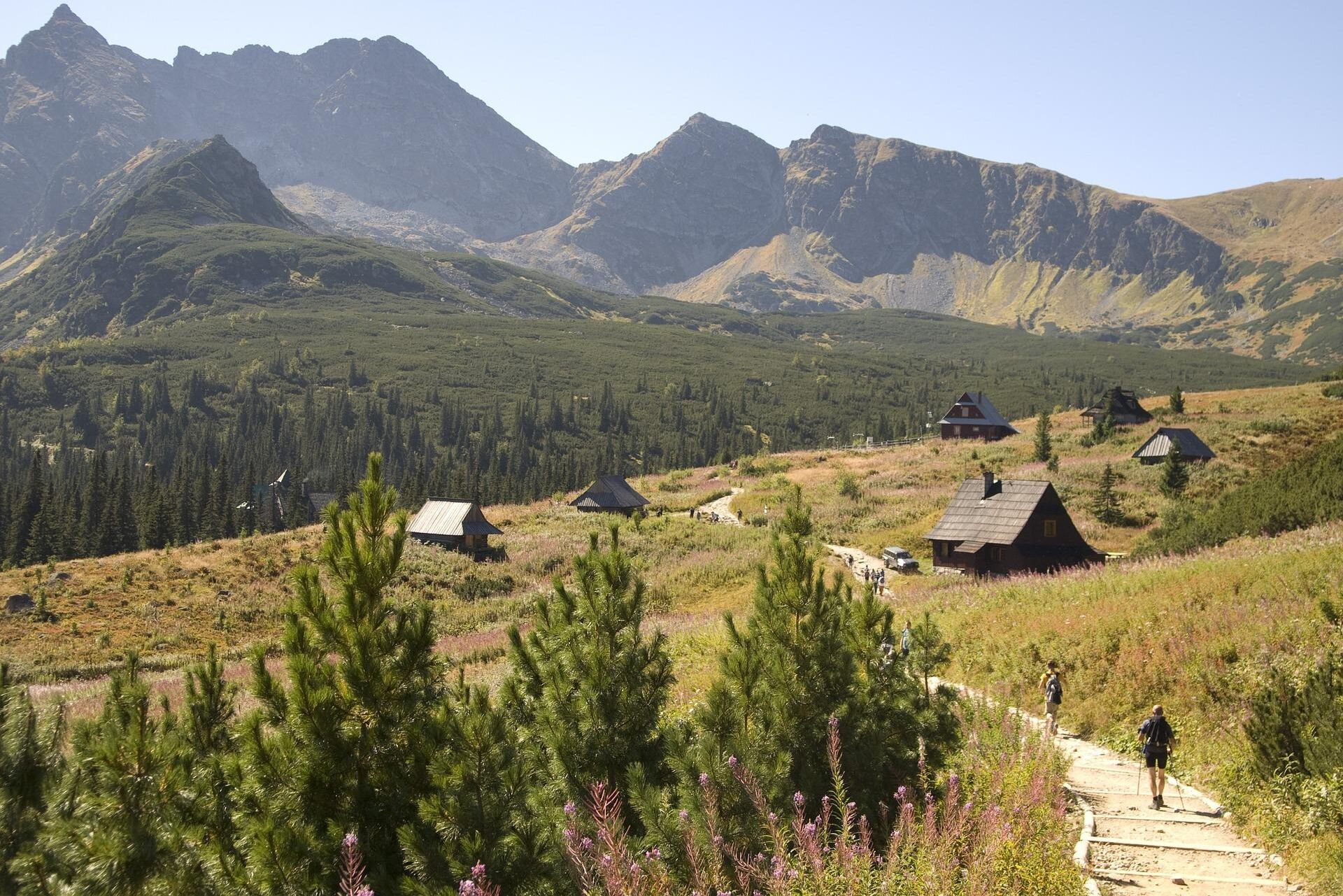 Zdjęcie przedstawia Tatrzański Park Narodowy widziany latem. Znajdują się na nim strome szczyty, a poniżej nich łąki porośnięte kosodrzewiną. Stoi na nich kilka niewielkich budynków o spadzistych dachach.