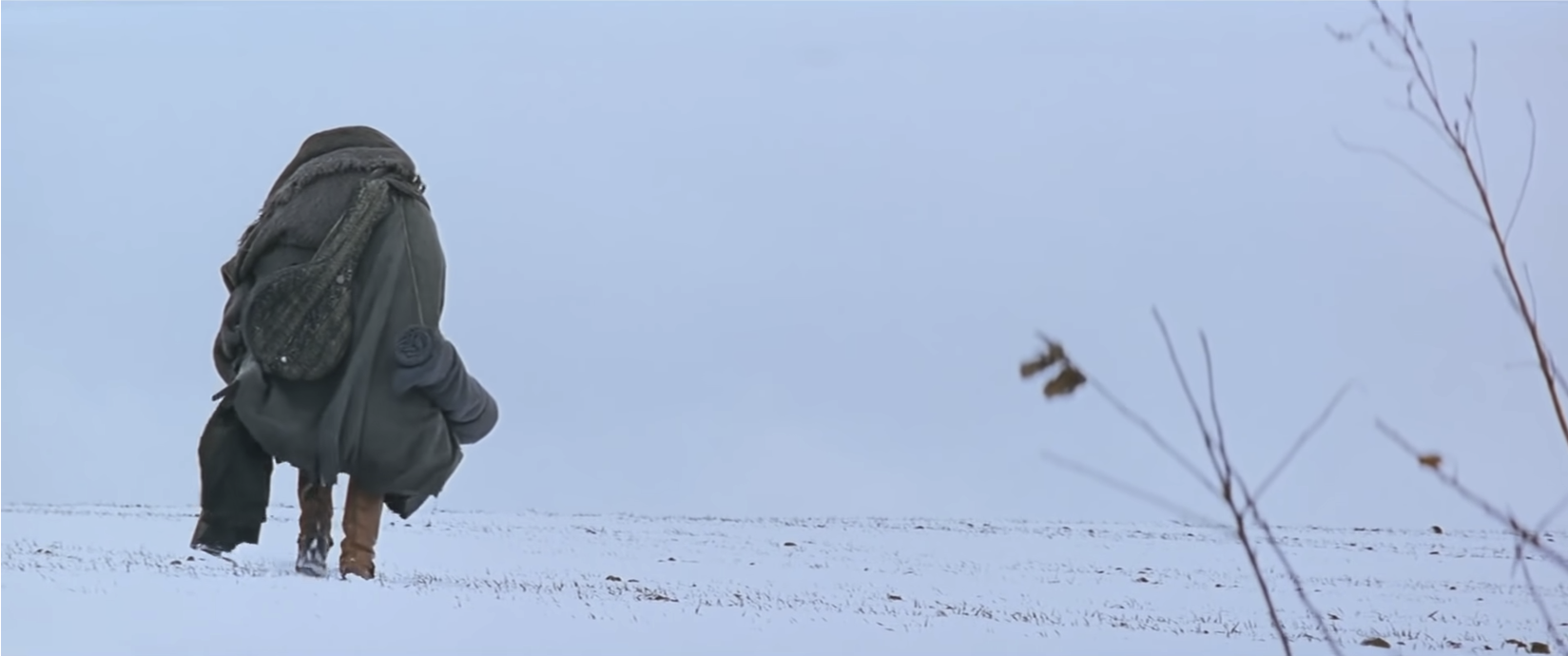 Zdjęcie przedstawia ośnieżony krajobraz.  Horyzont jest nisko usytuowany, na jednej piątej wysokości. Na pierwszym planie, po prawej ukazane są pozbawione liści gałązki. Na drugim planie, po lewej stronie ukazany jest skulony wędrowiec. Postać jest odwrócona do nas plecami. Mężczyzna jest ubrany w obszerny, ciemny płaszcz podróżny i wysokie buty. Przez ramię ma przewieszony pokrowiec z mandoliną oraz koc zwinięty w rulon. Niebo w tle jest szare.