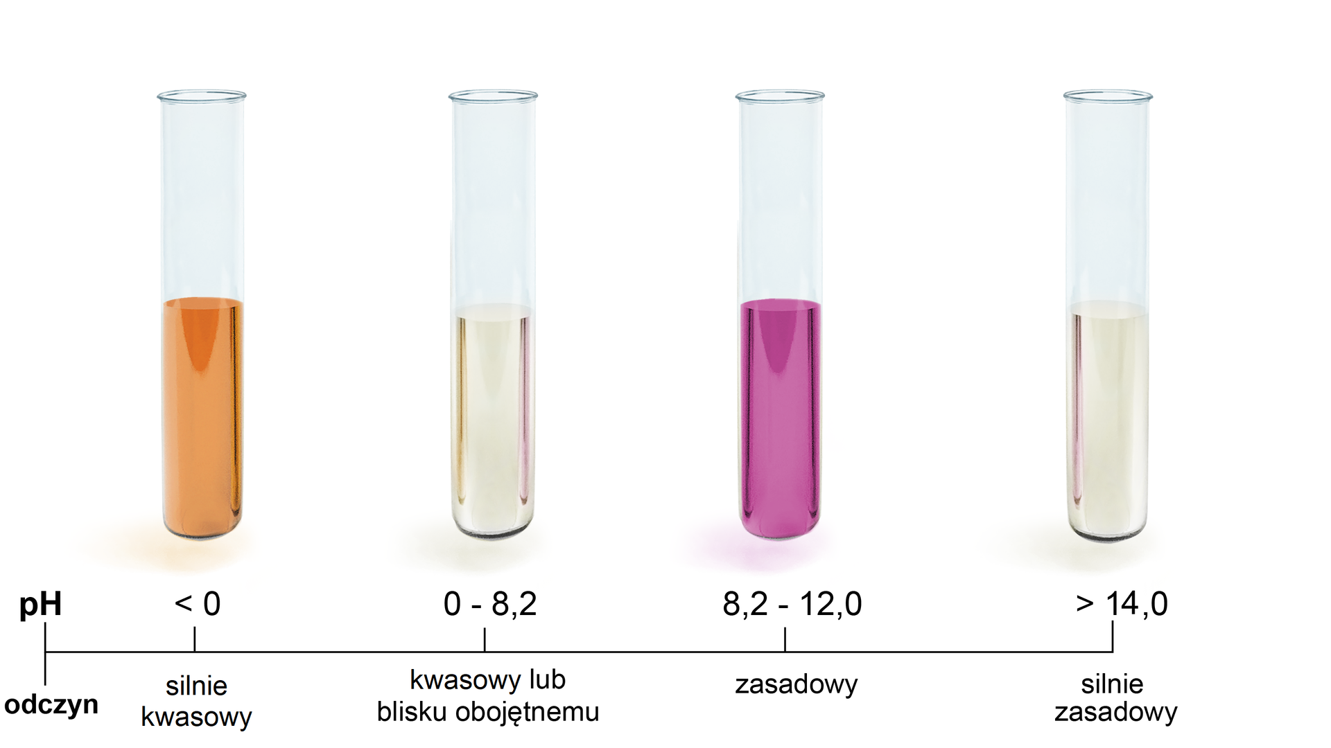 Ilustracja przedstawiająca barwy roztworów wodnych fenoloftaleiny w zależności od pH. Przy odczynie silnie kwasowym i pH poniżej zera barwa roztworu jest pomarańczowa. Przy pH wynoszącym od zera do 8,2 roztwór fenoloftaleiny jest bezbarwny. Przy odczynie zasadowym i pH od 8,2 do 12,0 barwa roztworu jest malinowa (fioletowo‑różowa). Dla silnie zasadowych roztworów przy pH powyżej czternastu roztwór jest bezbarwny.