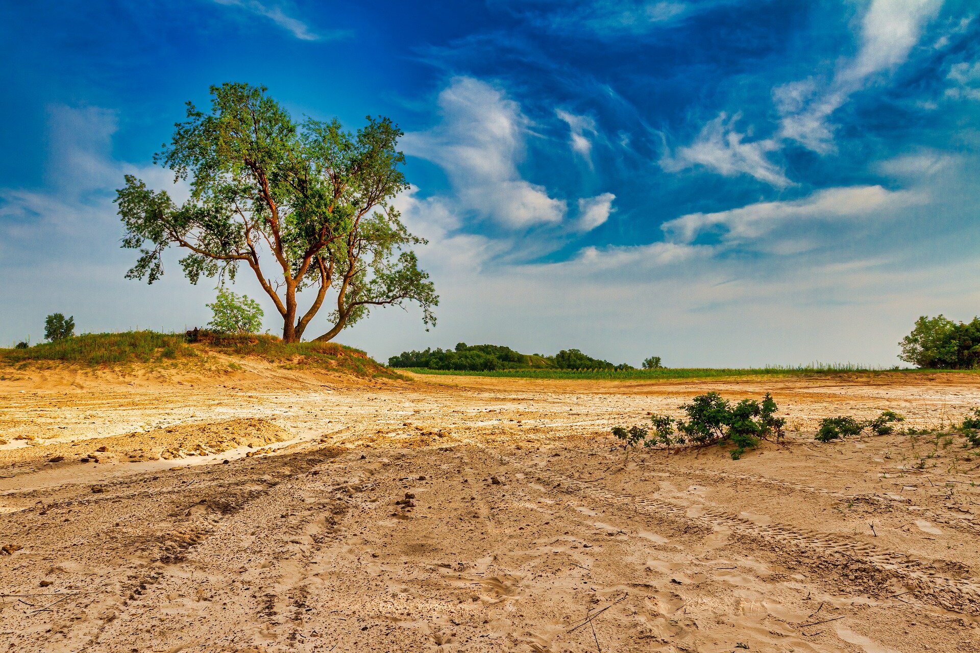 Zdjęcie prezentuje płaski teren. Gleba jest piaszczysta, sporadycznie porośnięta trawą i drzewami.