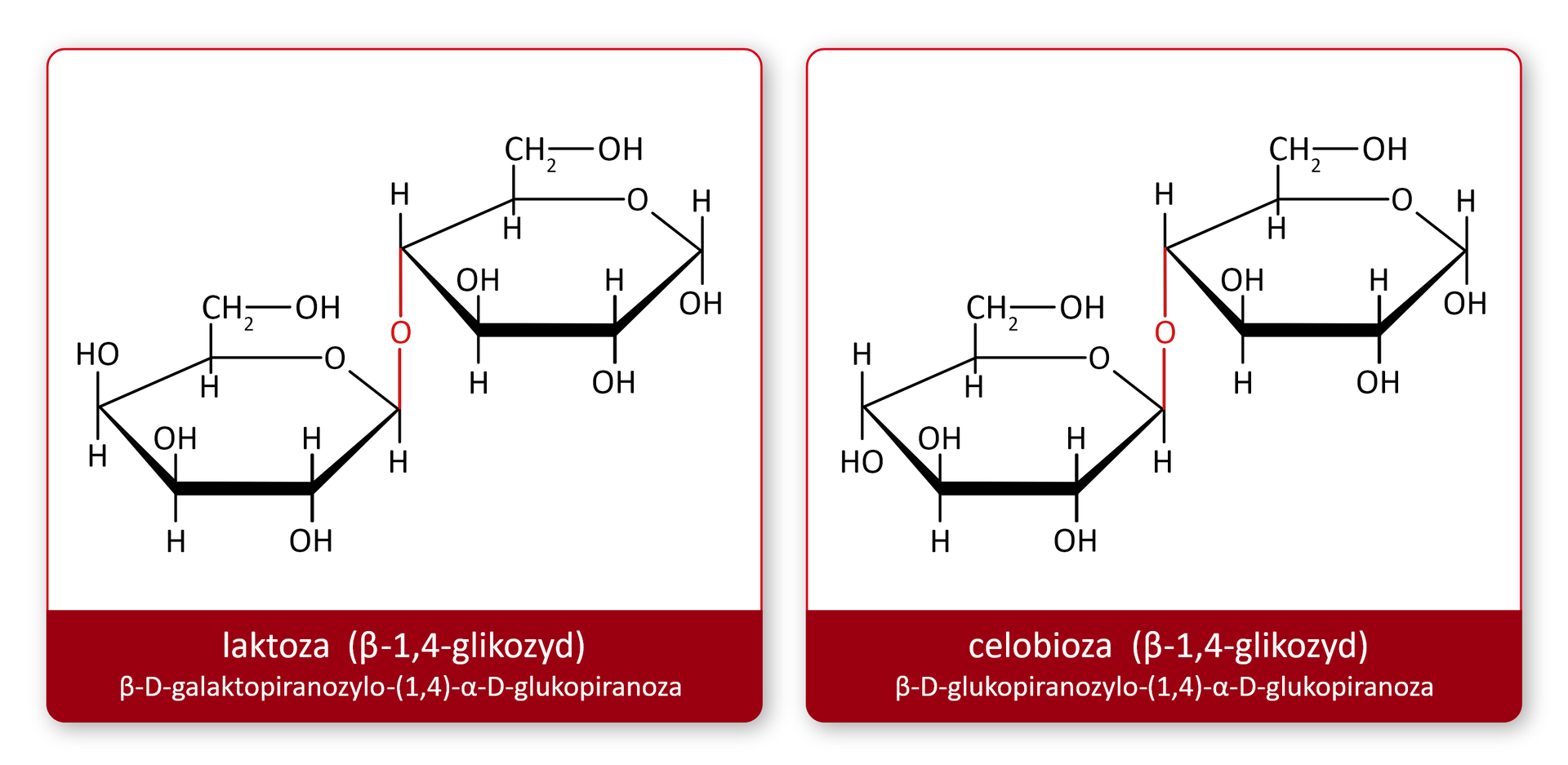 Ilustracja przedstawia disacharydy laktozę i celobiozę. Laktoza: beta‑1,4‑glikozyd, beta‑D-galaktopiranozylo(1,4)-alfa‑D-glukopiranoza i celobioza: beta‑1,4‑glikozyd, beta‑D-glukopiranozylo(1,4)-alfa‑D-glukopiranoza. Wzór laktozy w projekcji Hawortha: dwa sześcioczłonowe pierścienie (jeden jest powyżej drugiego) łączą się za pomocą wiązania O‑glikozydowego. W przypadku celobiozy jest tak samo.   