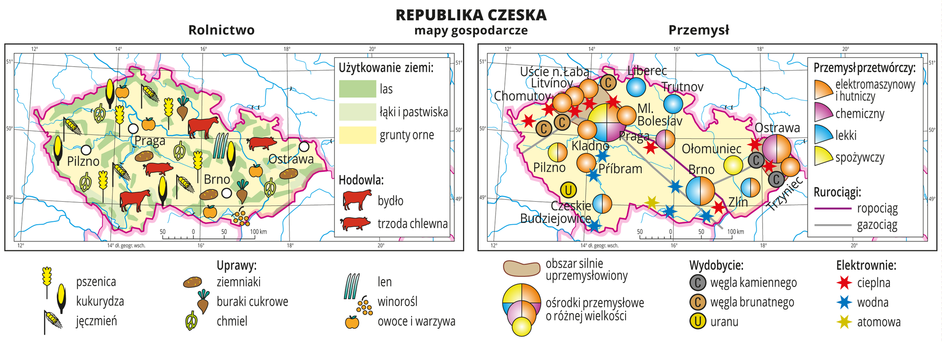 Ilustracja przedstawia dwie mapy gospodarcze Republiki Czeskiej. Mapa pierwsza – rolnictwo, mapa druga – przemysł. Na mapie rolnictwa tło w kolorze żółtym (grunty orne), jasnozielonym (łąki i pastwiska) i zielonym (lasy). Na mapie sygnatury obrazujące uprawy roślin (pszenica, kukurydza, jęczmień, ziemniaki, buraki cukrowe, chmiel, len, winorośl, owoce i warzywa) oraz hodowlę zwierząt (bydło, trzoda chlewna). Na mapie przemysłu sygnatury kołowe – ośrodki przemysłowe. Duże w Pradze, Ostrawie, Brnie, kilkanaście mniejszych. Przemysł elektromaszynowy i hutniczy w przewadze, chemiczny, lekki oraz spożywczy. Kilka elektrowni cieplnych i wodnych oznaczonych kolorowymi gwiazdkami, jedna elektrownia atomowa, ropociąg i gazociąg oznaczone liniami. Sygnaturami oznaczone wydobycie węgla kamiennego, węgla brunatnego i uranu. Obie mapy zawierają południki i równoleżniki, dookoła map w białych ramkach opisano współrzędne.