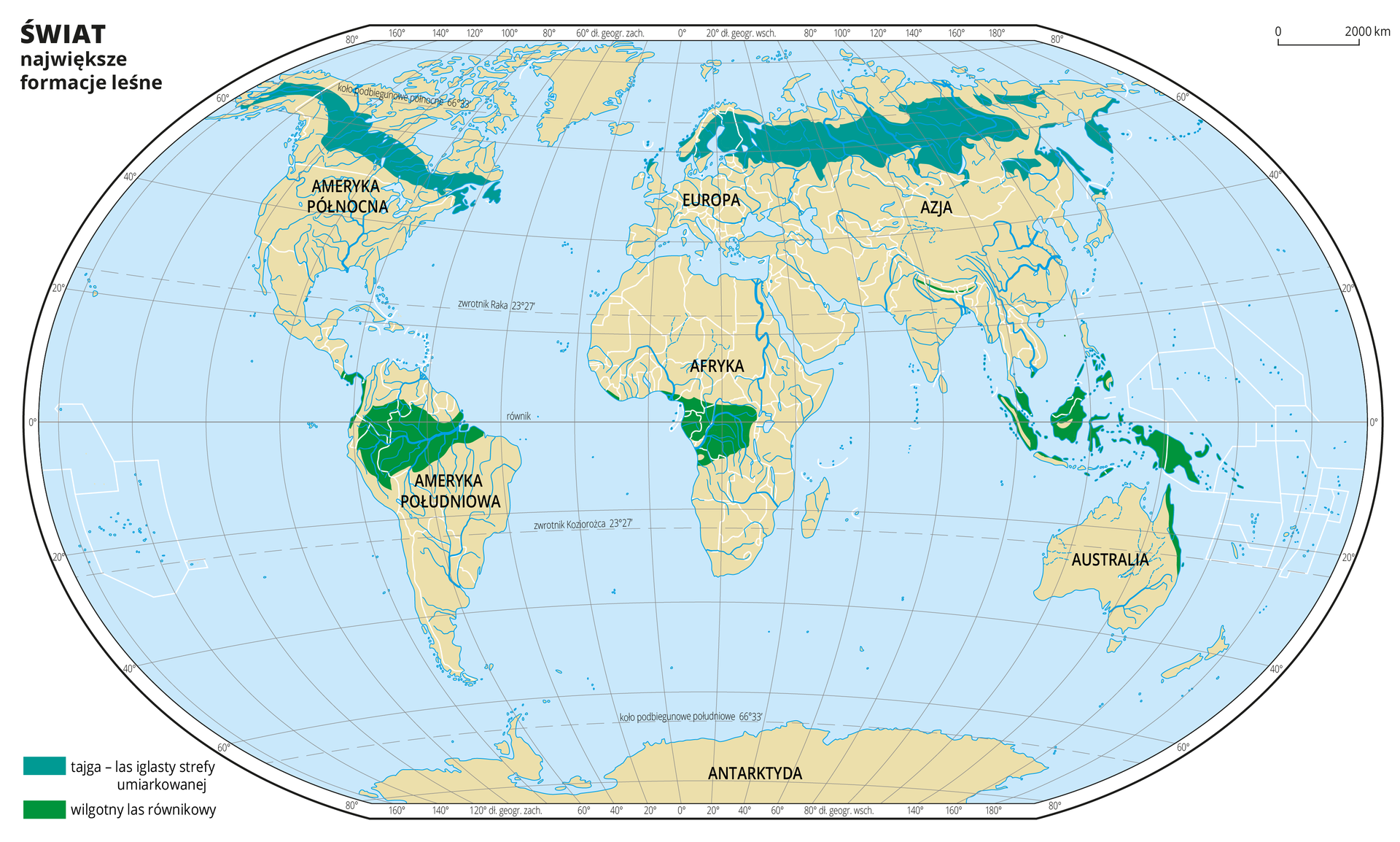 Ilustracja przedstawia mapę świata. Wody zaznaczono kolorem niebieskim. Opisano kontynenty.Na mapie za pomocą kolorów oznaczono występowanie największych formacji leśnych – tajgi i wilgotnych lasów równikowych. Kolorem zielonym oznaczono tajgę – obejmuje ona północną część Ameryki Północnej i północną część Azji. Kolorem zielonym oznaczono wilgotne lasy równikowe – występują one na obszarach położonych wzdłuż równika. Mapa pokryta jest równoleżnikami i południkami. Dookoła mapy w białej ramce opisano współrzędne geograficzne co dwadzieścia stopni.Po lewej stronie narysowano dwa prostokąty i objaśniono kolory użyte na mapie.