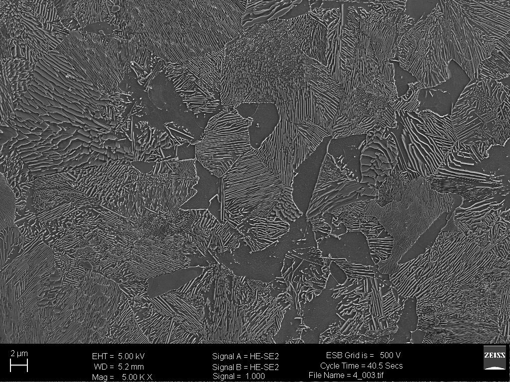 Stop o zawartości węgla 0,6%
 W strukturze perlitu widoczne płytki cementytu i ferrytu - zdjęcie wykonane na mikroskopie SEM 