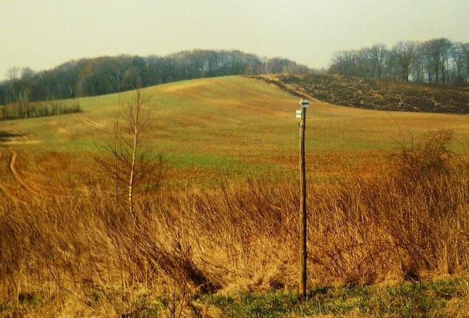 Na zdjęciu jest niewielkie wzniesienie porośnięte trawą. Przypomina wał. W tle rosną drzewa. 