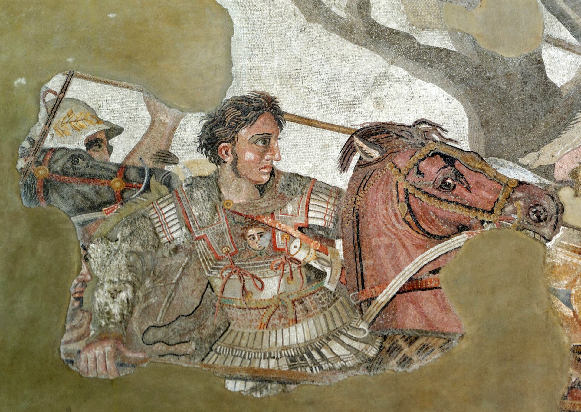 Ilustracja przedstawia mozaikę znajdującą się w Narodowym Muzeum Archeologicznym w Neapolu. Mozaika ukazuje Aleksandra na Bucefale podczas bitwy w Issos. Poza Aleksandrem na fragmencie mozaiki widoczna jest inna postać na czarnym koniu.