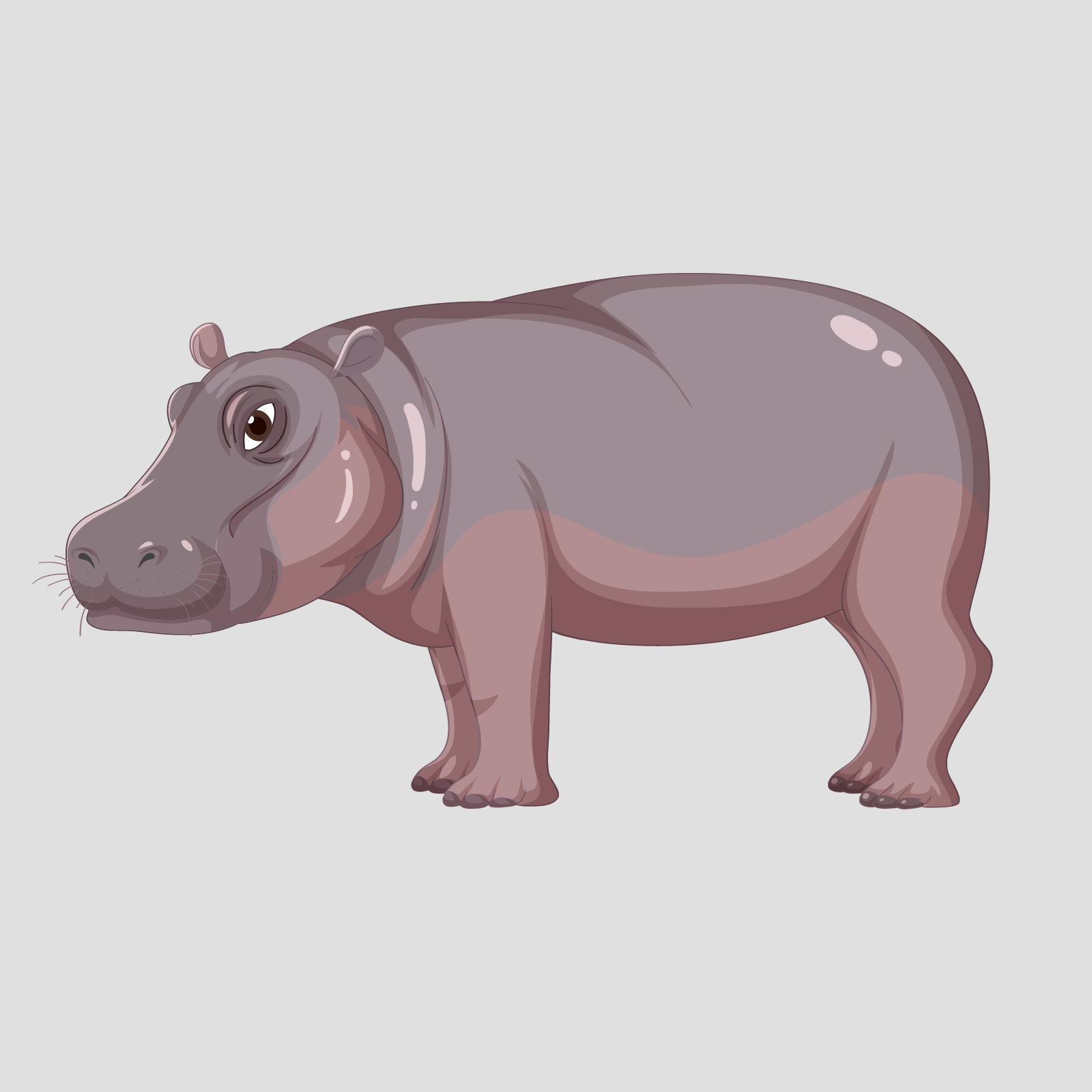 Ilustracja przedstawia stojącego hipopotama. Ma on szeroki pysk oraz małe uszy.
