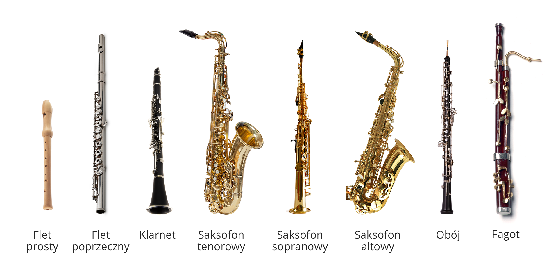 Ilustracja przedstawia instrumenty dęte drewniane. Kolejno od lewej strony są to: Flet prosty, Flet poprzeczny, Klarnet, Saksofon tenorowy, Saksofon sopranowy, Saksofon altowy, Obój i Fagot.