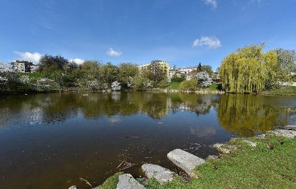 Zdjęcie przedstawia park. Na pierwszym planie staw, wokół którego rosną drzewa. Zza drzew wystają blokowiska. 