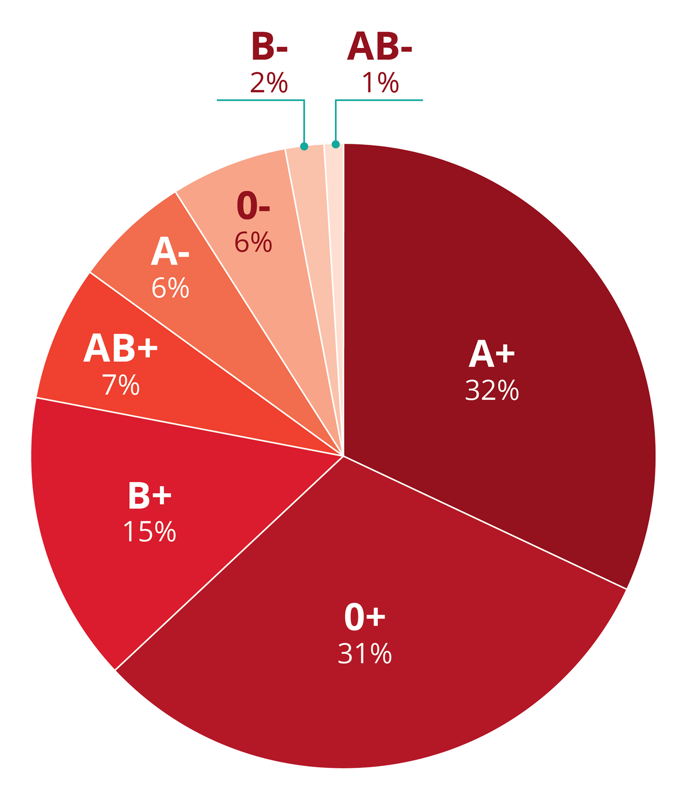 Diagram kołowy przedstawia częstość występowania grup krwi wPolsce. Oprócz grupy krwi uwzględniono czynnik Rh minus lub plus. Różne odcienie czerwieni wskazują, jak często występuje dana grupa krwi. Na górze najmniej częste grupy: B- (2 %) i AB- (1%). Najczęstsze są grupy A+ (32%) i 0+ (31%).