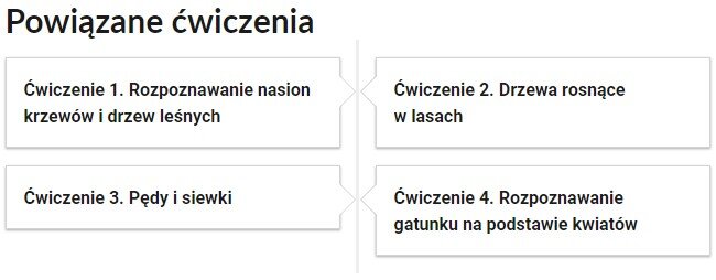 Grafika przedstawia widok przykładowego przycisku ćwiczeń powiązanych z danym multimedium. Na samej górze umieszczony jest nagłówek: Powiązane ćwiczenia. Pod nim znajduje się pionowa oś czasu. Składa się z czterech kafelków. Dwa z nich umieszczone zostały po lewej stronie osi, natomiast pozostałe dwa po prawej. W kafelkach zamieszczona został informacja na temat numeru powiązanego ćwiczenia, a także jego tytułu. Pierwszy kafelek zawiera napis: Ćwiczenie pierwsze. Rozpoznawanie nasion krzewów i drzew leśnych. Drugi kafelek zawiera napis: Ćwiczenie drugie. Drzewa rosnące w lasach. Trzeci kafelek zawiera napis: Ćwiczenie trzecie. Pędy i siewki. Czwarty kafelek zawiera napis: Ćwiczenie czwarte. Rozpoznawanie gatunku na podstawie kwiatów.