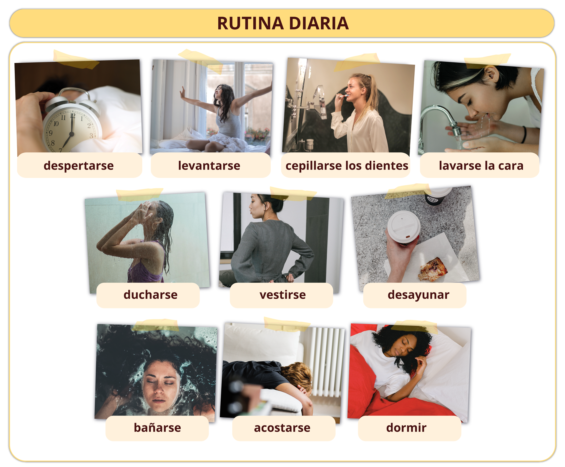 Grafika przedstawia zdjęcia czynności wraz z podpisami. Nagłówek grafiki: RUTINA DIARIA. Poniżej: zdjęcie budzika w pościeli - despertarse; zdjęcie kobiety przeciągającej się na łóżku - levantarse; zdjęcie kobiety myjącej zęby - cepillarse los dientes; zdjęcie kobiety myjącej twarz pod kranem - lavarse la cara; zdjęcie kobiety biorącej prysznic - ducharse; zdjęcie kobiety zawiązującej sznur od swetra - vestirse; zdjęcie papierowych kubków z kawą oraz przekąski - desayunar; zdjęcie kobiety zanurzonej w wodzie z pianą - bañarse; zdjęcie kobiety leżącej w poprzek łóżka - acostarse; zdjęcie kobiety śpiącej w pościeli - dormir
