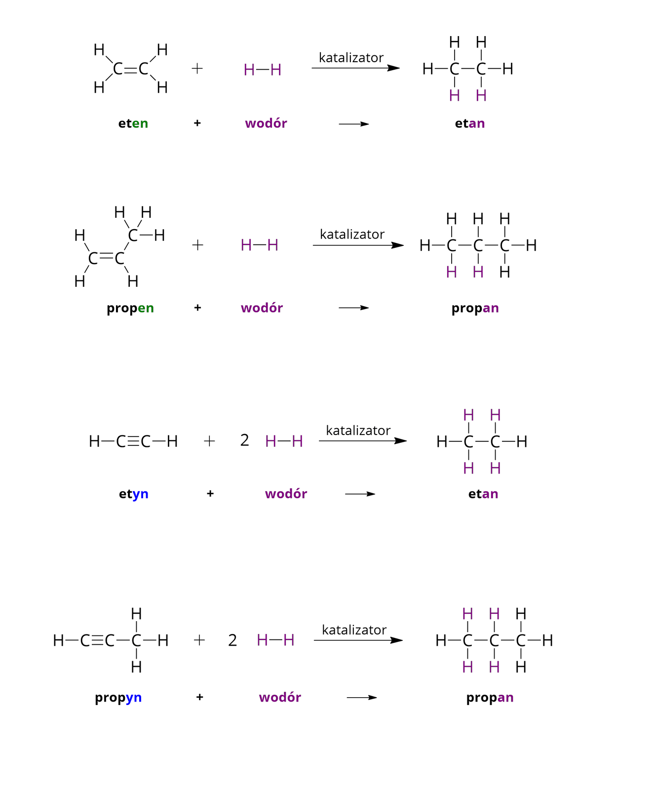 Grafika przedstawia cztery reakcje addycji cząsteczki wodoru do węglowodorów nienasyconych. Reakcje zapisano w formie wzorów strukturalnych, a pod nimi znajduje się zapis reakcji w formie nazw systematycznych.
Pierwsza reakcja to reakcja addycji cząsteczki wodoru do cząsteczki etenu. Wzór strukturalny etenu to dwa atomy węgla połączone poziomym wiązaniem podwójnym. Od każdego z atomów węgla odchodzą po dwa wiązania do atomów wodoru. Cząsteczka wodoru: H wiązanie pojedyncze H jest zaznaczona na kolor fioletowy. Za strzałką znajduje się wzór produktu: etanu. Nad strzałką zapisano hasło: katalizator. Dwa atomy węgla są połączone pojedynczym poziomym wiązaniem. Każdy z atomów węgla tworzy jeszcze po trzy wiązania do atomów wodoru, dwa z nich są zaznaczone na kolor fioletowy. Poniżej znajduje się zapis słowny reakcji: eten (końcówka —en jest zaznaczona na zielono) plus wodór (zaznaczony na fioletowo), nad strzałką zapisano hasło: katalizator, etan (końcówka —an jest zapisana na fioletowo).
Druga reakcja to reakcja addycji cząsteczki wodoru do cząsteczki propenu. Wzór strukturalny etenu to dwa atomy węgla połączone poziomym wiązaniem podwójnym. Od jednego z atomów węgla odchodzą dwa wiązania do atomów wodoru, a drugi atom węgla tworzy wiązanie z jednym atomem wodoru oraz z atomem węgla, który z kolei tworzy wiązania z trzema atomami wodoru. Cząsteczka wodoru: H wiązanie pojedyncze H jest zaznaczona na kolor fioletowy. Za strzałką z napisem „katalizator” znajduje się wzór produktu: propanu. Trzy atomy węgla są szeregowo połączone pojedynczym poziomym wiązaniem. Pierwszy i trzeci z atomów węgla tworzy jeszcze trzy wiązania do atomów wodoru, drugi tworzy dwa wiązania do atomów wodoru. Dwa atomy wodoru są zapisane na fioletowo. Poniżej znajduje się zapis słowny reakcji: propen (końcówka —en jest zaznaczona na zielono) plus wodór, strzałka, propan (końcówka —an jest zapisana na fioletowo).
Trzecia reakcja to reakcja addycji cząsteczki wodoru do cząsteczki etynu. Wzór strukturalny etynu to dwa atomy węgla połączone poziomym wiązaniem potrójnym. Od każdego z atomów węgla odchodzi jedno wiązanie do atomu wodoru. Cząsteczka wodoru: H wiązanie pojedyncze H jest zaznaczona na kolor fioletowy. Za strzałką z napisem „katalizator” znajduje się wzór produktu: etanu. Dwa atomy węgla są połączone pojedynczym poziomym wiązaniem. Każdy z atomów węgla tworzy jeszcze po trzy wiązania do atomów wodoru, cztery z tych atomów są zaznaczone na kolor fioletowy. Poniżej znajduje się zapis słowny reakcji: etyn (końcówka —yn jest zaznaczona na niebiesko) plus wodór (zaznaczony na fioletowo), nad strzałką zapisano hasło: katalizator, etan (końcówka —an jest zapisana na fioletowo).
Czwarta reakcja to reakcja addycji cząsteczki wodoru do cząsteczki propynu. Wzór strukturalny propynu to dwa atomy węgla połączone poziomym wiązaniem potrójnym. Od jednego z atomów węgla odchodzi jedno wiązanie do atomu wodoru, a od drugiego do atomu węgla, który z kolei tworzy wiązania z trzema atomami wodoru. Cząsteczka wodoru: H wiązanie pojedyncze H jest zaznaczona na kolor fioletowy. Za strzałką znajduje się wzór produktu: propanu. Nad strzałką zapisano hasło: katalizator. Trzy atomy węgla są szeregowo połączone pojedynczym poziomym wiązaniem. Pierwszy i trzeci z atomów węgla tworzy jeszcze trzy wiązania do atomów wodoru, drugi tworzy dwa wiązania do atomów wodoru. Dwa atomy wodoru są zapisane na fioletowo. Poniżej znajduje się zapis słowny reakcji: propyn (końcówka —yn jest zaznaczona na niebiesko) plus wodór strzałka w prawo propan (końcówka —an jest zapisana na fioletowo).
