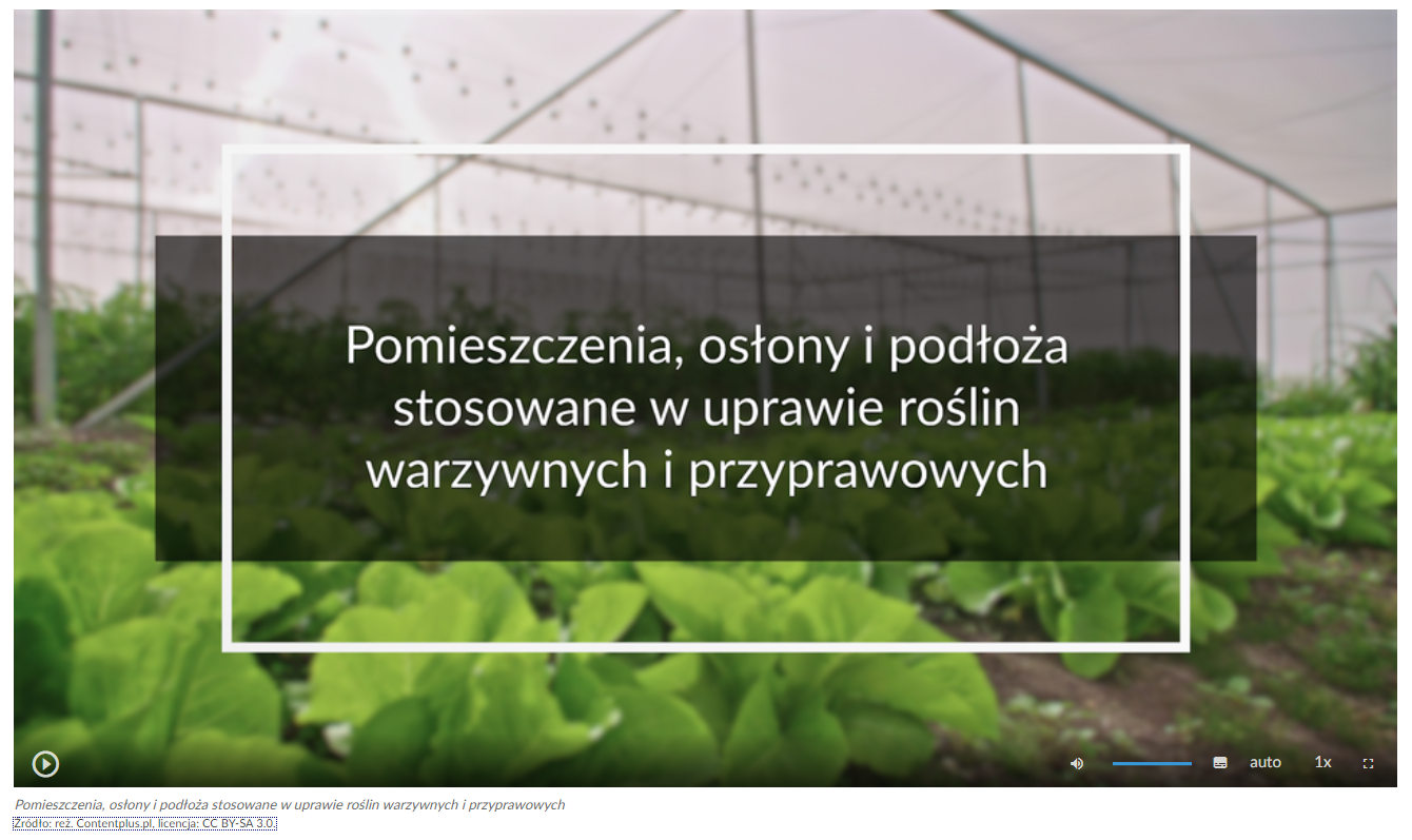 Zdjęcie przedstawia wygląd ekranu odtwarzania filmu. Ekran startowy przedstawia szklarnię, w której rosną sałaty. Na tle zdjęcia umieszczono tytuł filmu: Pomieszczenia, osłony i podłoża stosowane w uprawie roślin warzywnych i przyprawowych. W dolnej części ekranu znajdują się ikony z różnymi opcjami. W lewym dolnym rogu widać ikonę trójkąta w kółku. Jest to ikona włączania odtwarzania filmu. Kolejna ikona znajduje się dopiero w połowie ekranu dolnego paska. Jest to ikona megafonu. Obok niej widać niebieski pasek, który oznacza poziom głośności. Dalej znajduje się mały biały prostokąt z czarnymi paskami w jego dolnej części. Pozwala ona na włączenie napisów. Kolejna ikona to napis auto, która umożliwia wybranie jakości filmu. Obok niej widać ikonę jedynki z iksem. Po kliknięciu na nią można wybrać szybkość odtwarzania filmu. Ostatnia ikona to kreski tworzące kwadrat. Kreski te tworzą jedynie krawędzie kwadratu. Jest to opcja włączania trybu pełnoekranowego.